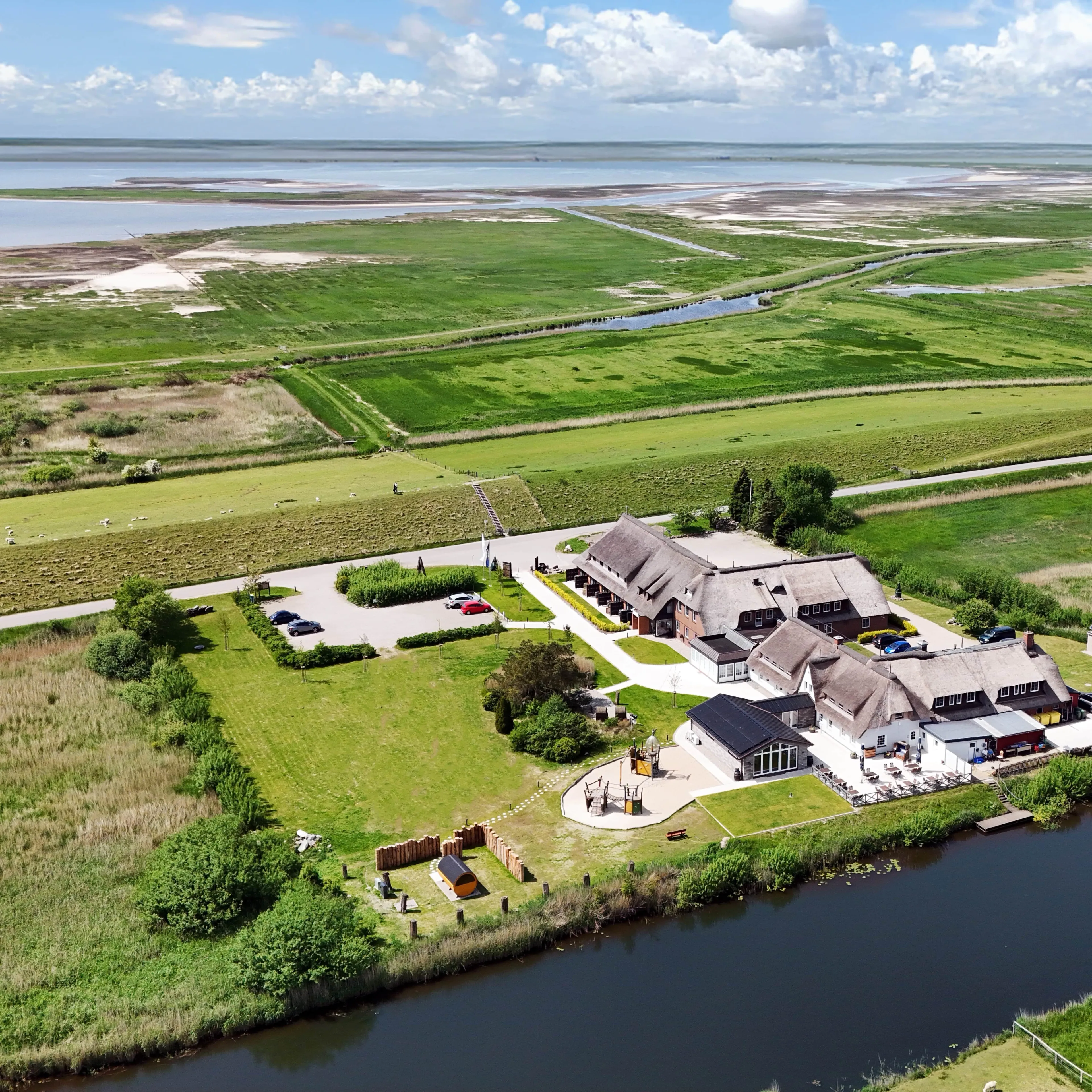 Yoga am Deich: Entspannung, Natur und Nordseeluft - 4