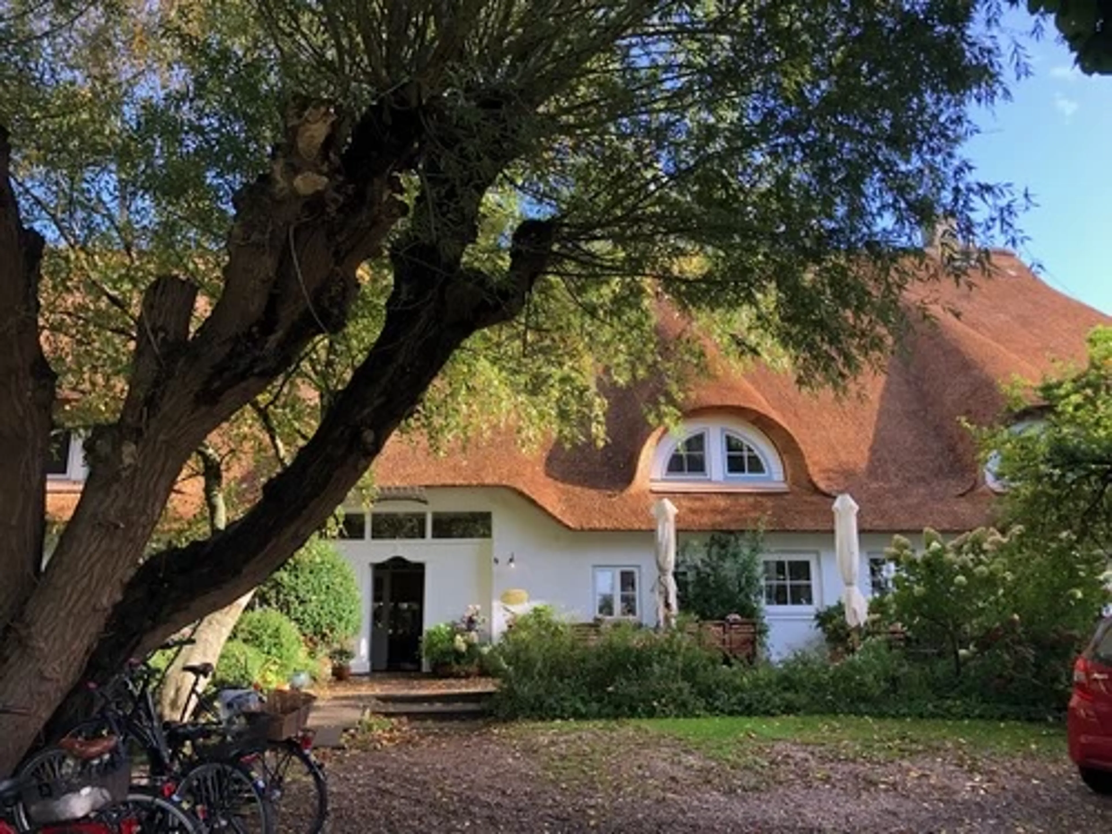 Basenfasten & Yoga für Frauen: Deine genussvolle Auszeit am Meer - 2