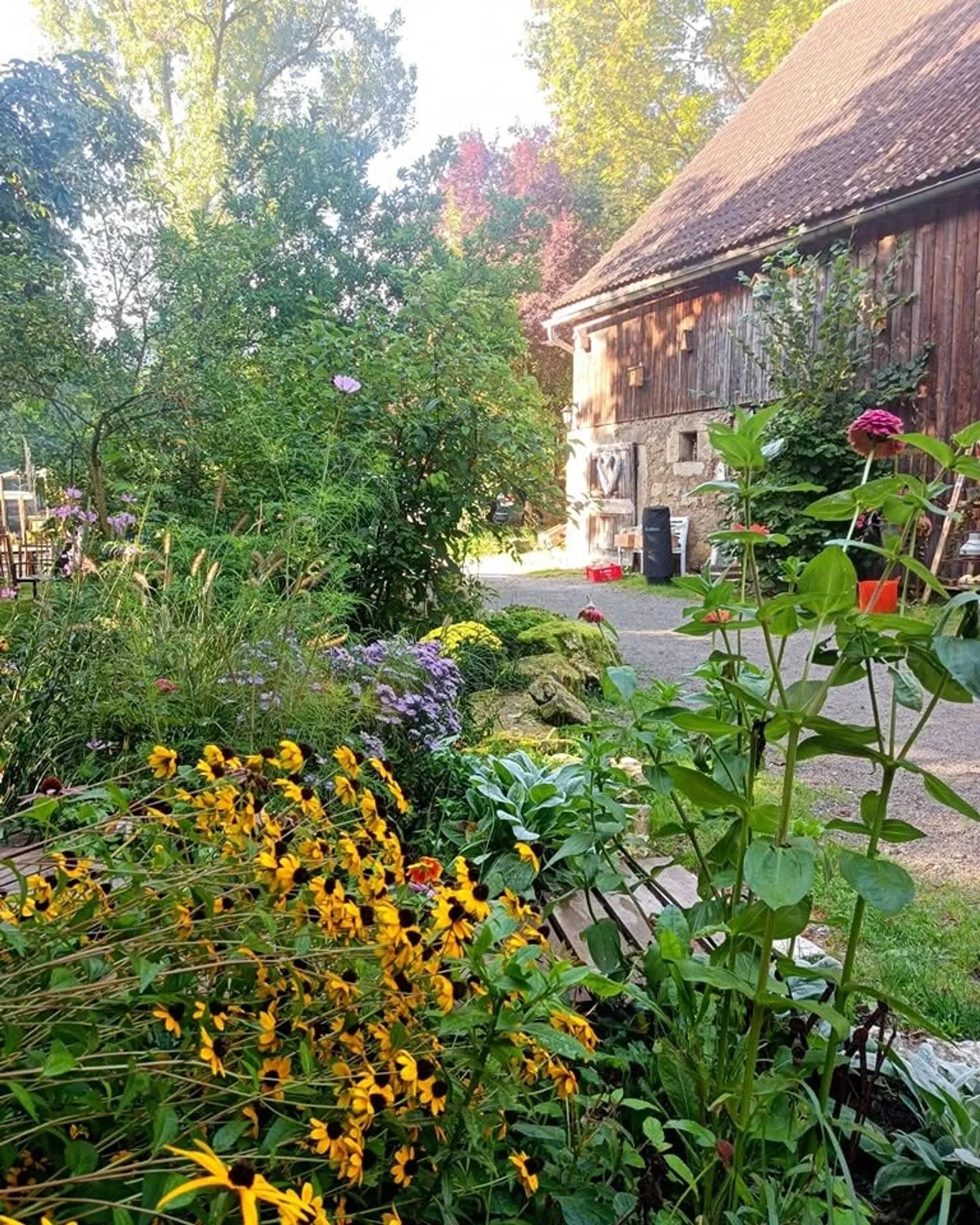 Kraft, Ruhe & Verbindung beim Yoga-Wochenende im Waldviertel - 2