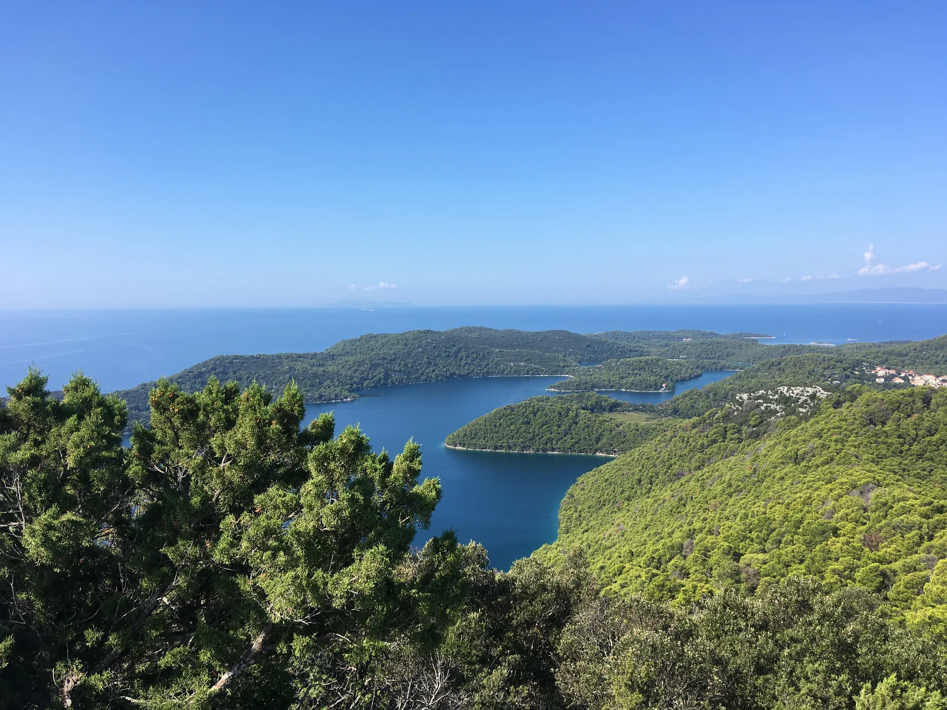 Ganzheitliches Yoga & Ayurveda Retreat auf der grünen Insel Mljet - 5