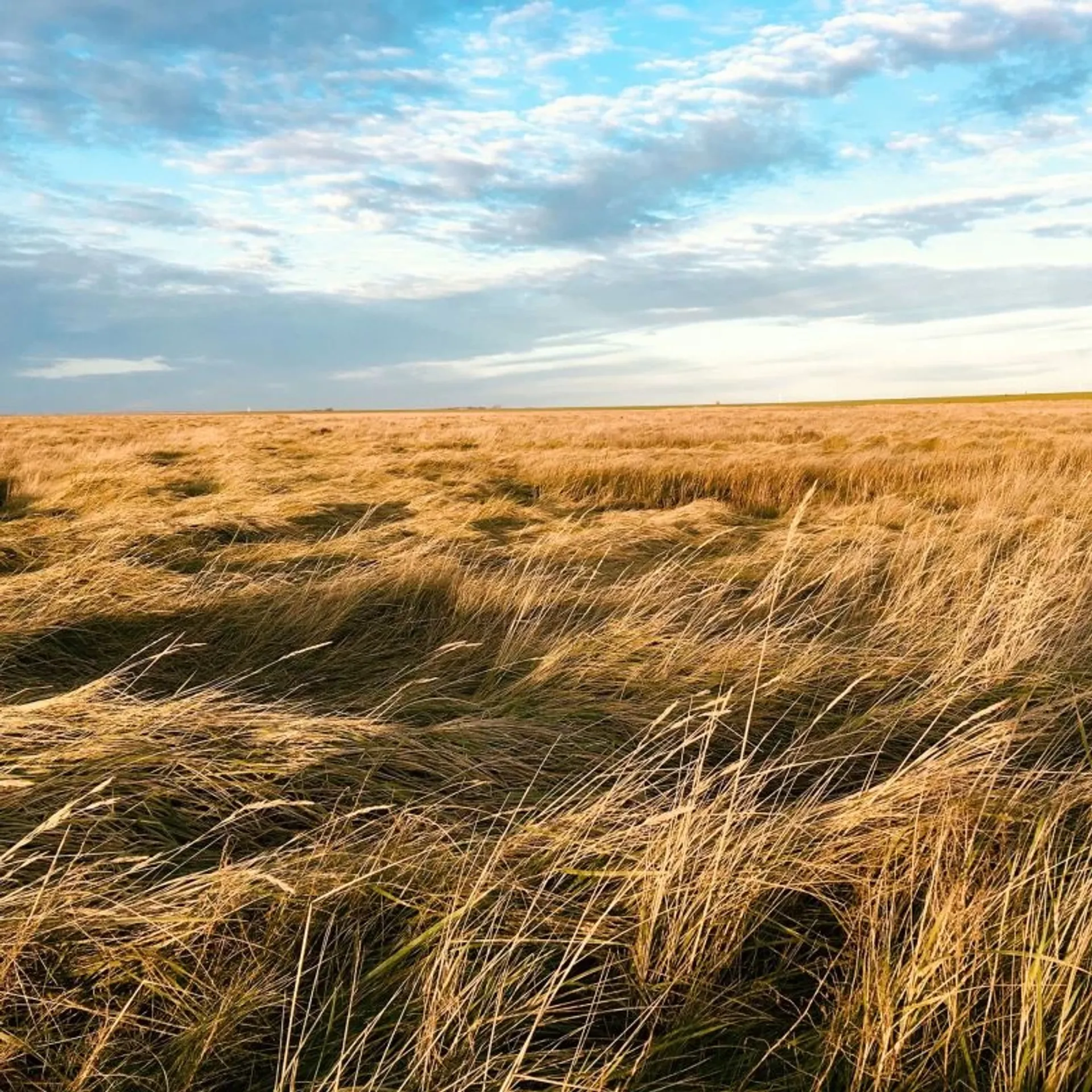 Yoga und Ayurveda für Frauen: Spüre die Kraft und Energie der Nordsee - 5