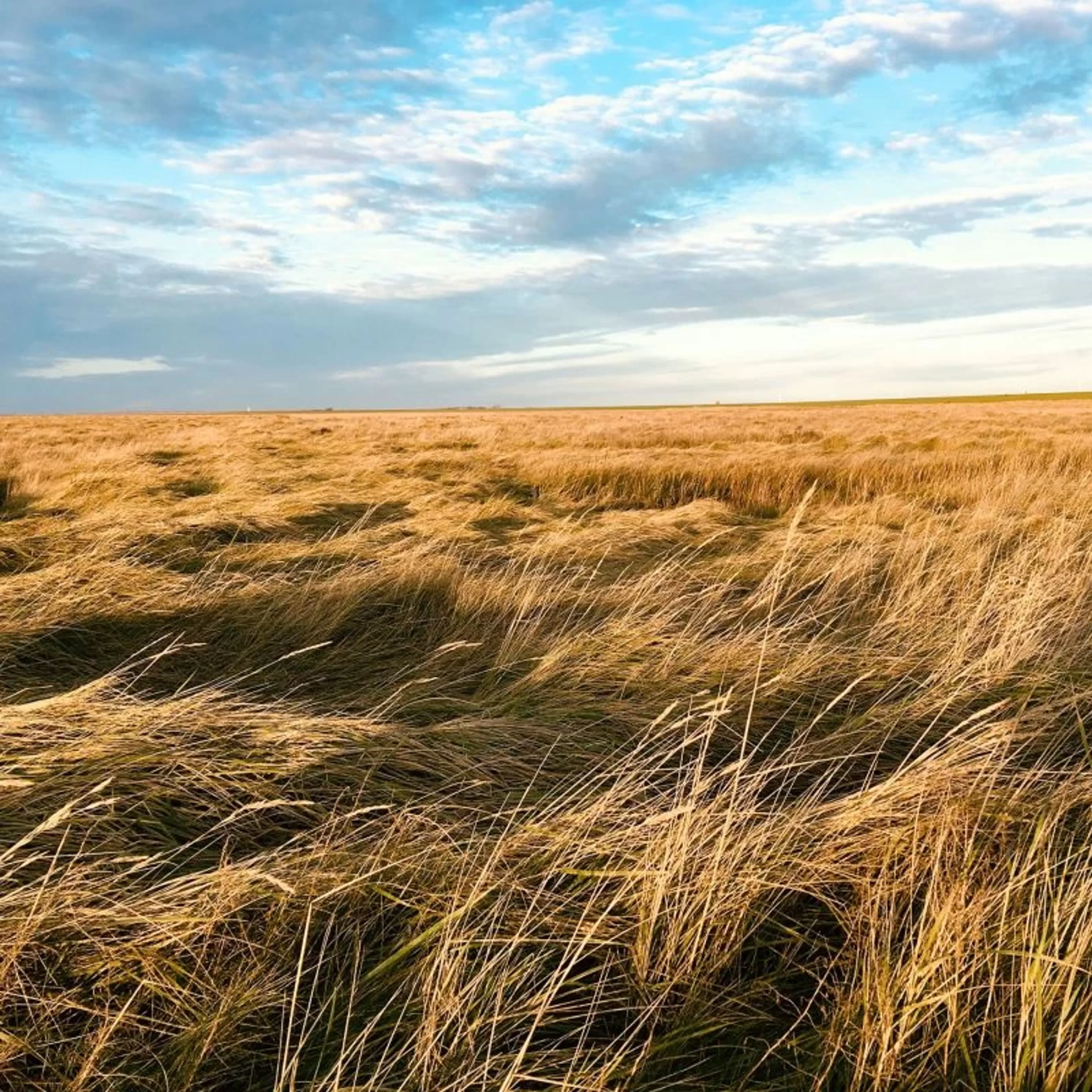 Yoga und Ayurveda für Frauen: Spüre die Kraft und Energie der Nordsee - 5