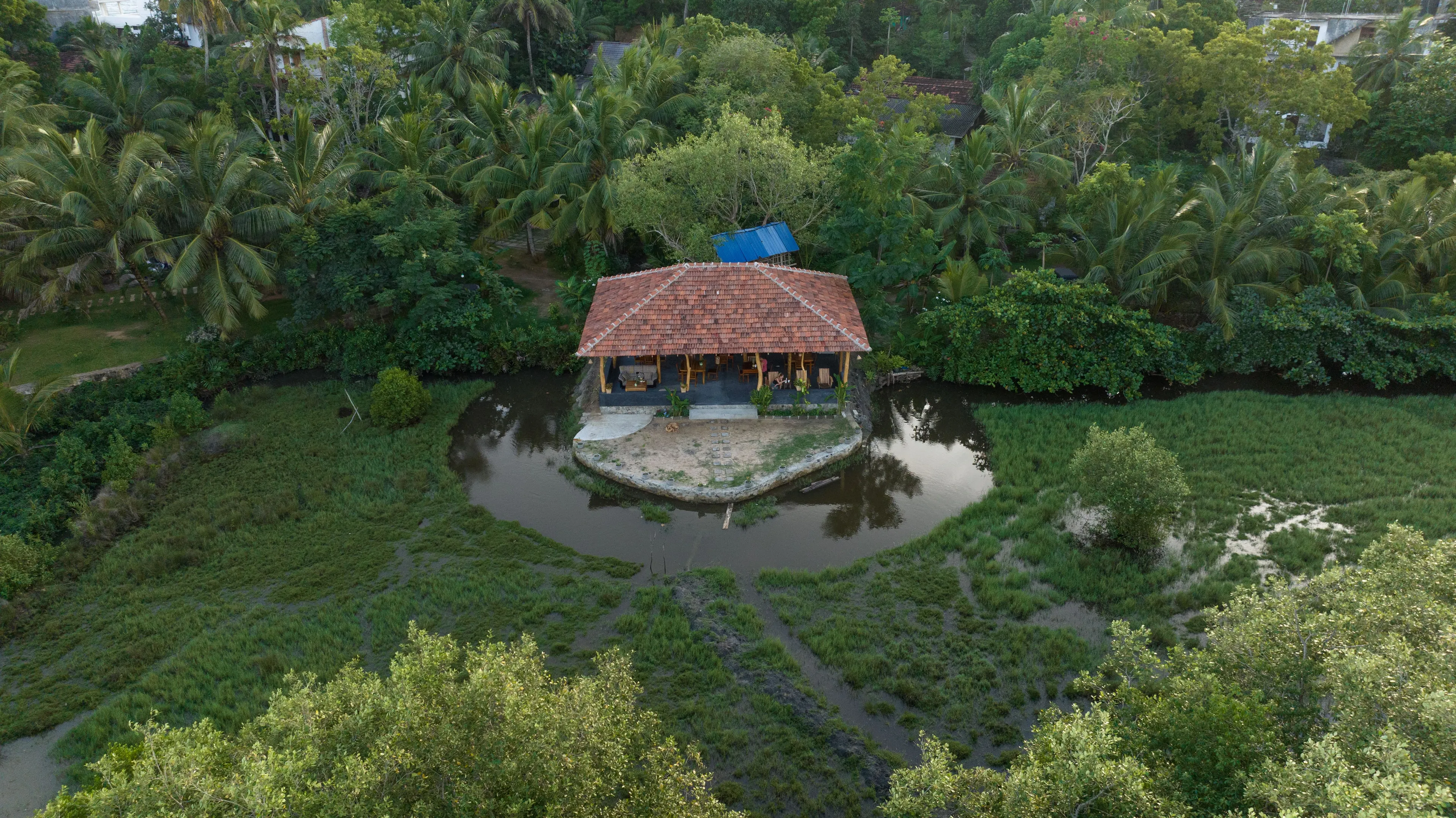 Reiki & Yoga-Retreat mit Reiki Initiation im Süden Sri Lankas - 4