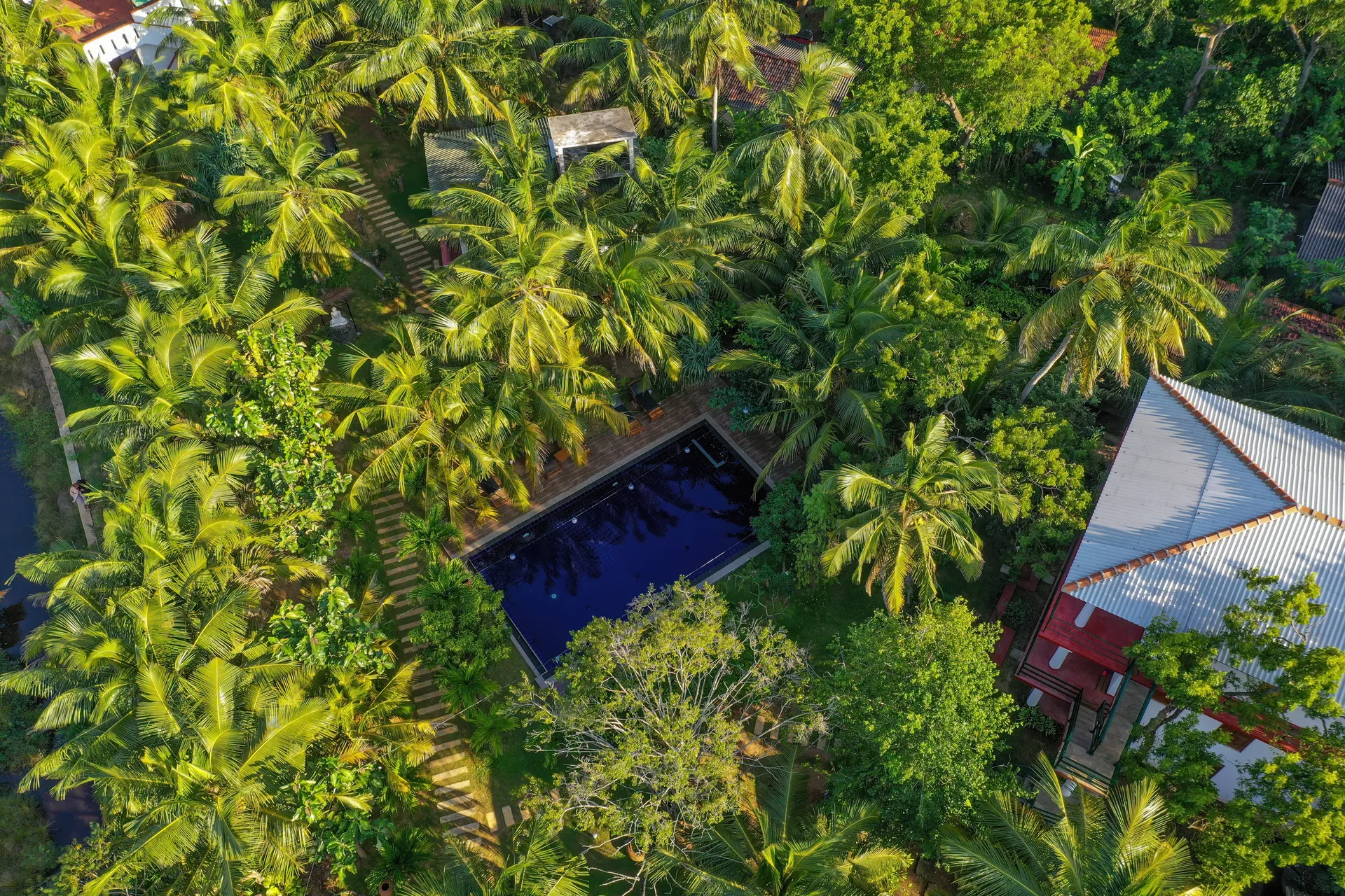 Innere Ruhe und Balance: Qi Gong & Yin Yoga Retreat in Tangalle - 5