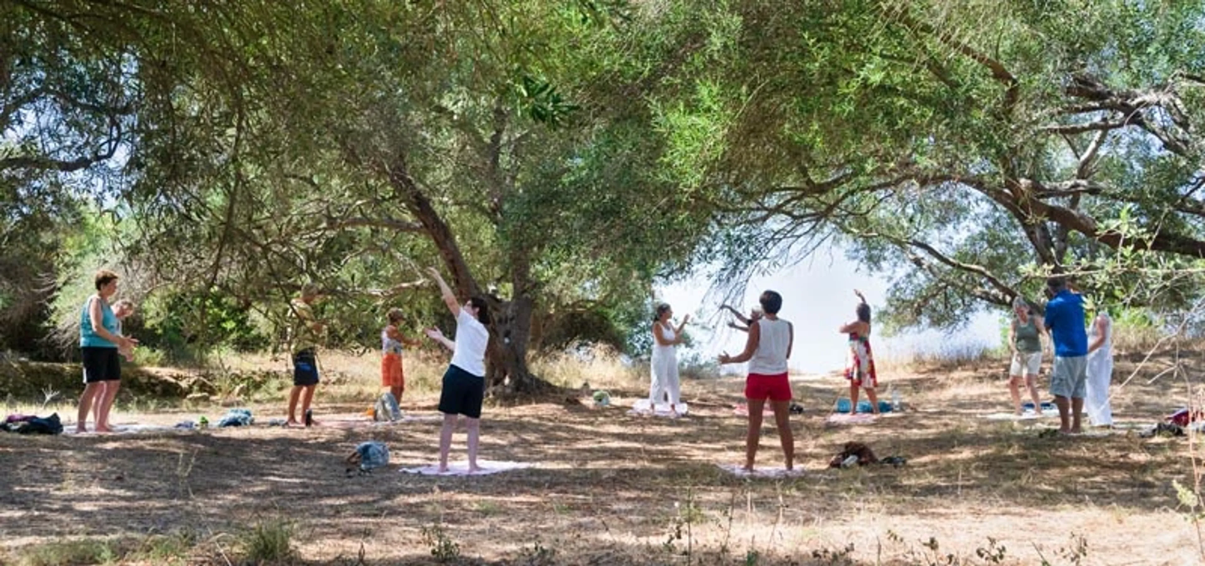 Qigong-Urlaub auf Korfu – Harmonie für Körper, Geist und Seele - 4