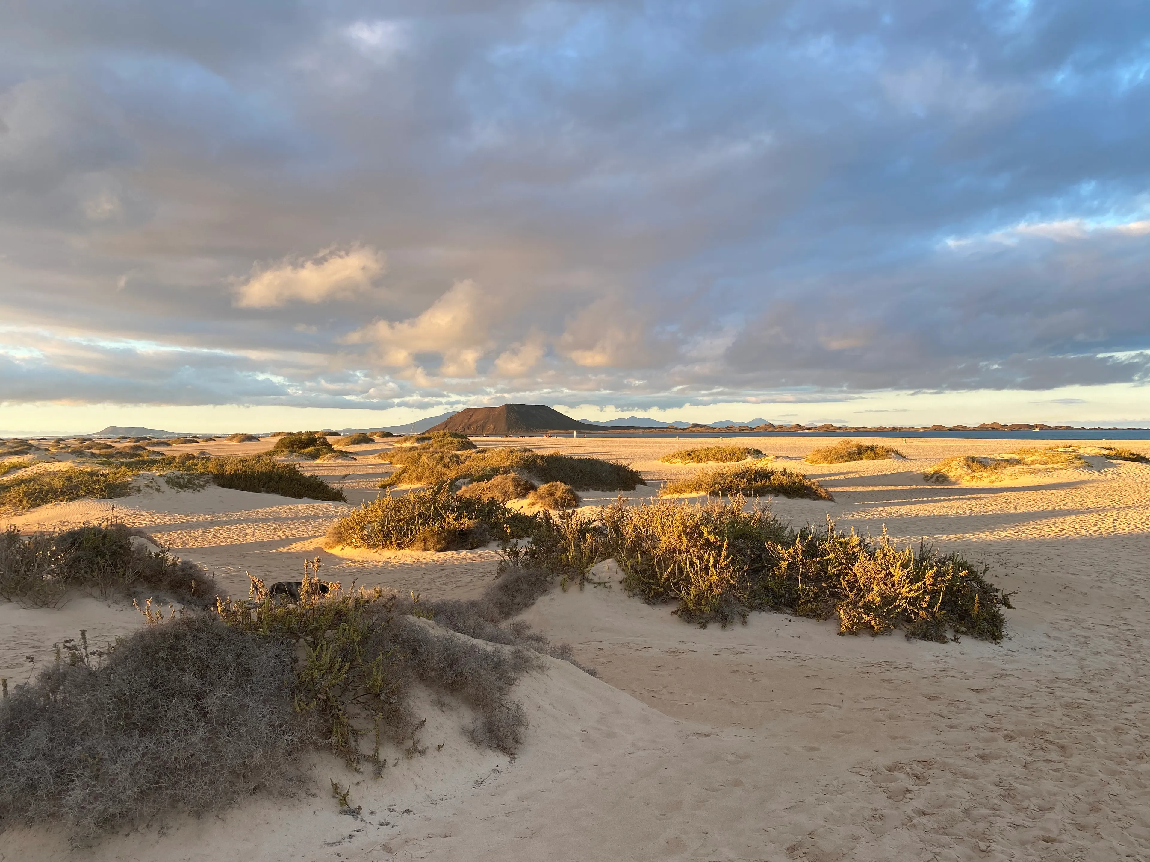 Surfen, Sonne, Spaß: Wingfoiling auf Fuerteventura - 4