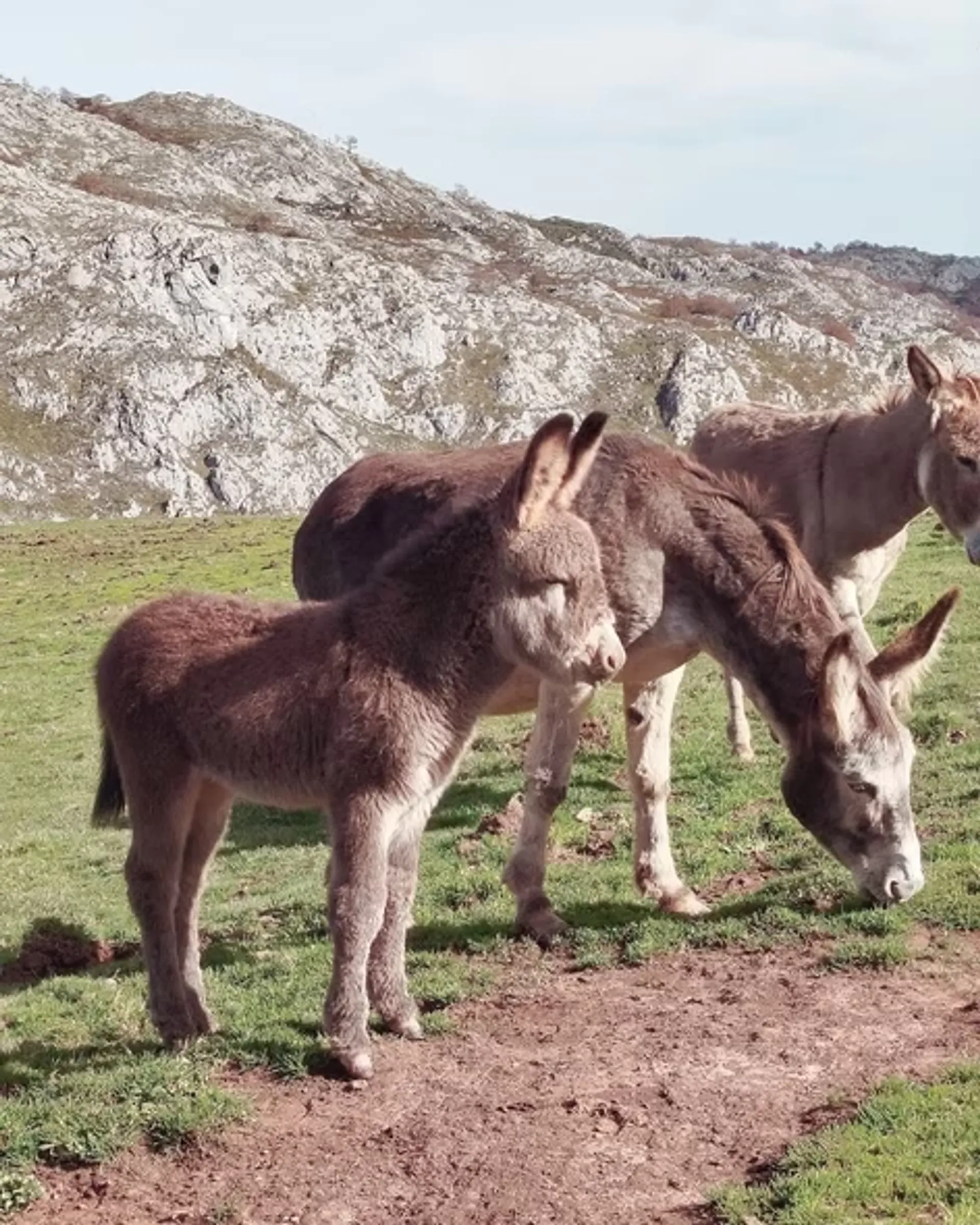 Auf neuen Pfaden zu dir selbst: Wandern, Yoga und Gemeinschaft - 5