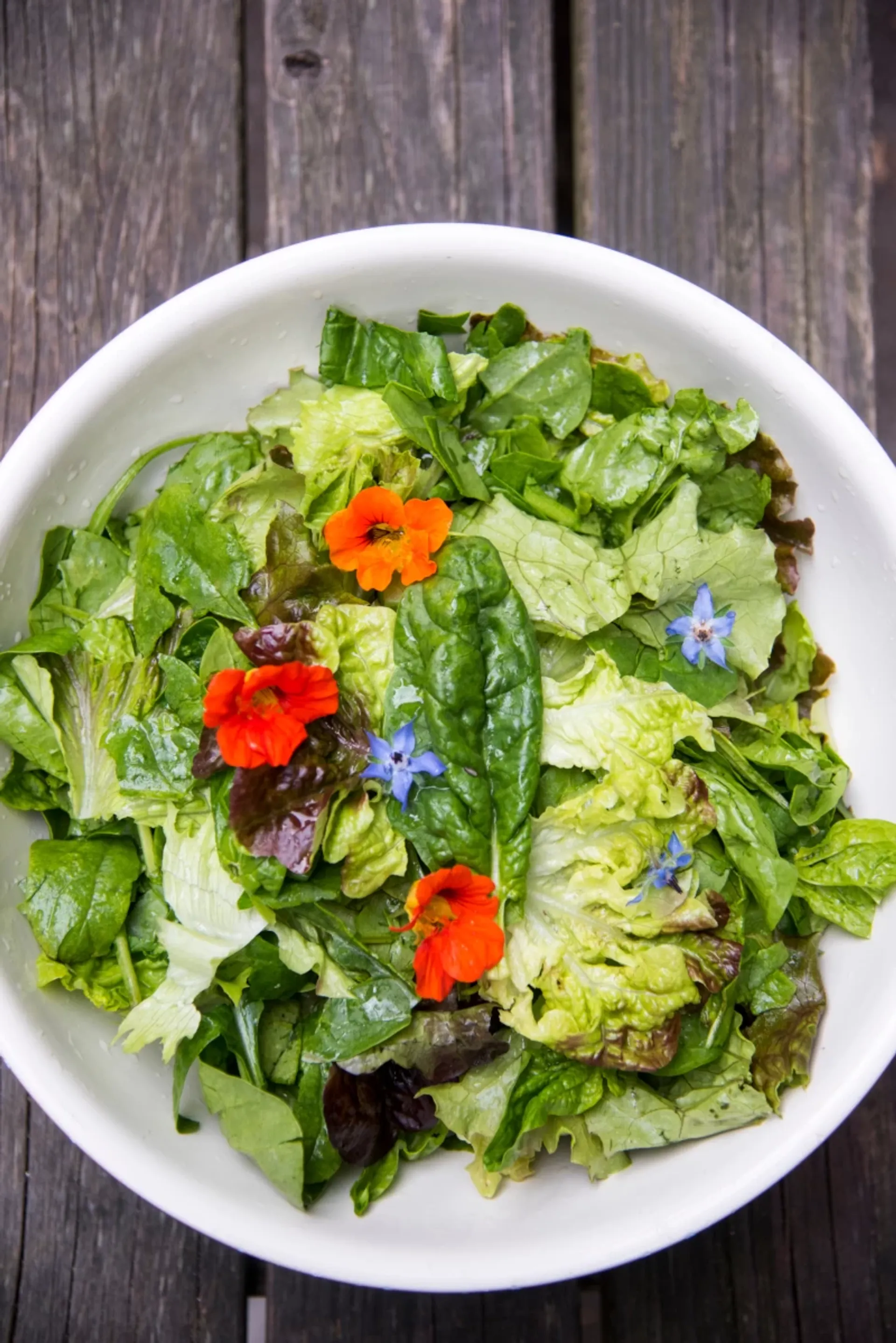 Erlebe Yoga und Entspannung: Seminarhaus am Wattenmeer - 4