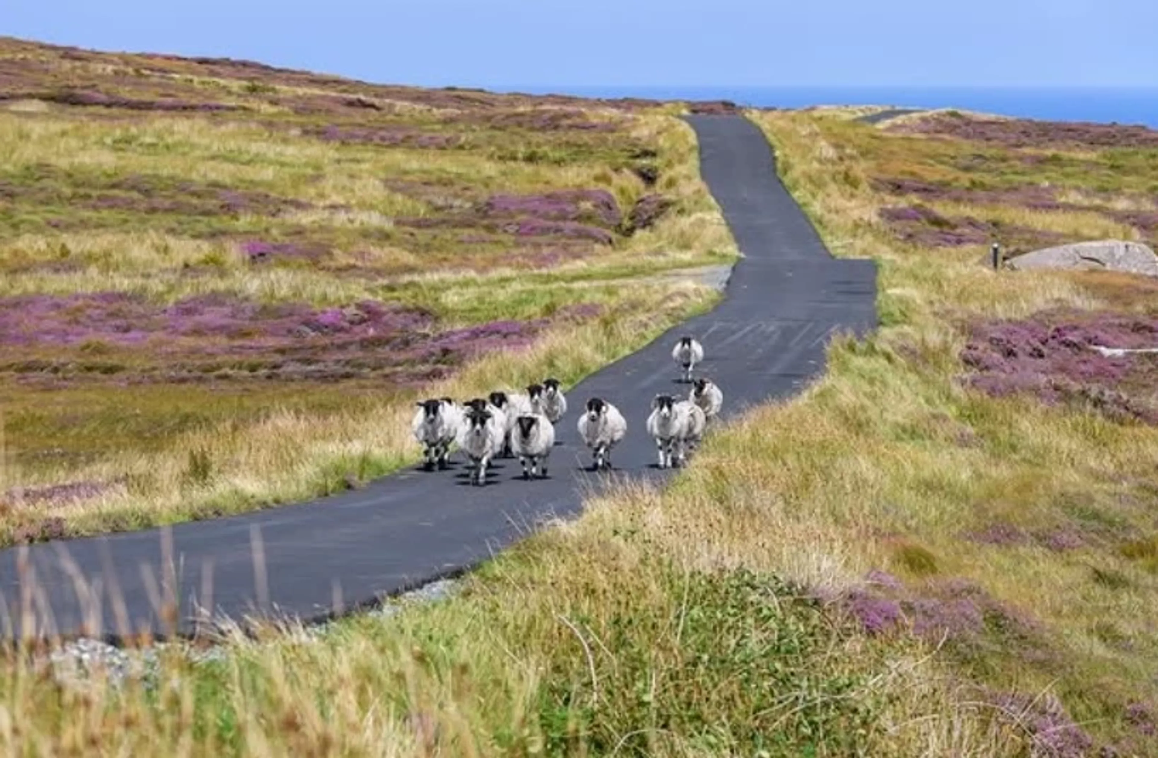 Surf & Slow Living an den leeren, malerischen Stränden Irlands - 5