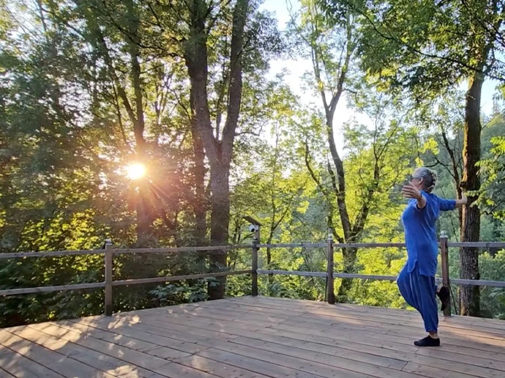 Yoga- & Wander-Retreat im Boutiquehotel am türkisblauen Attersee - 2