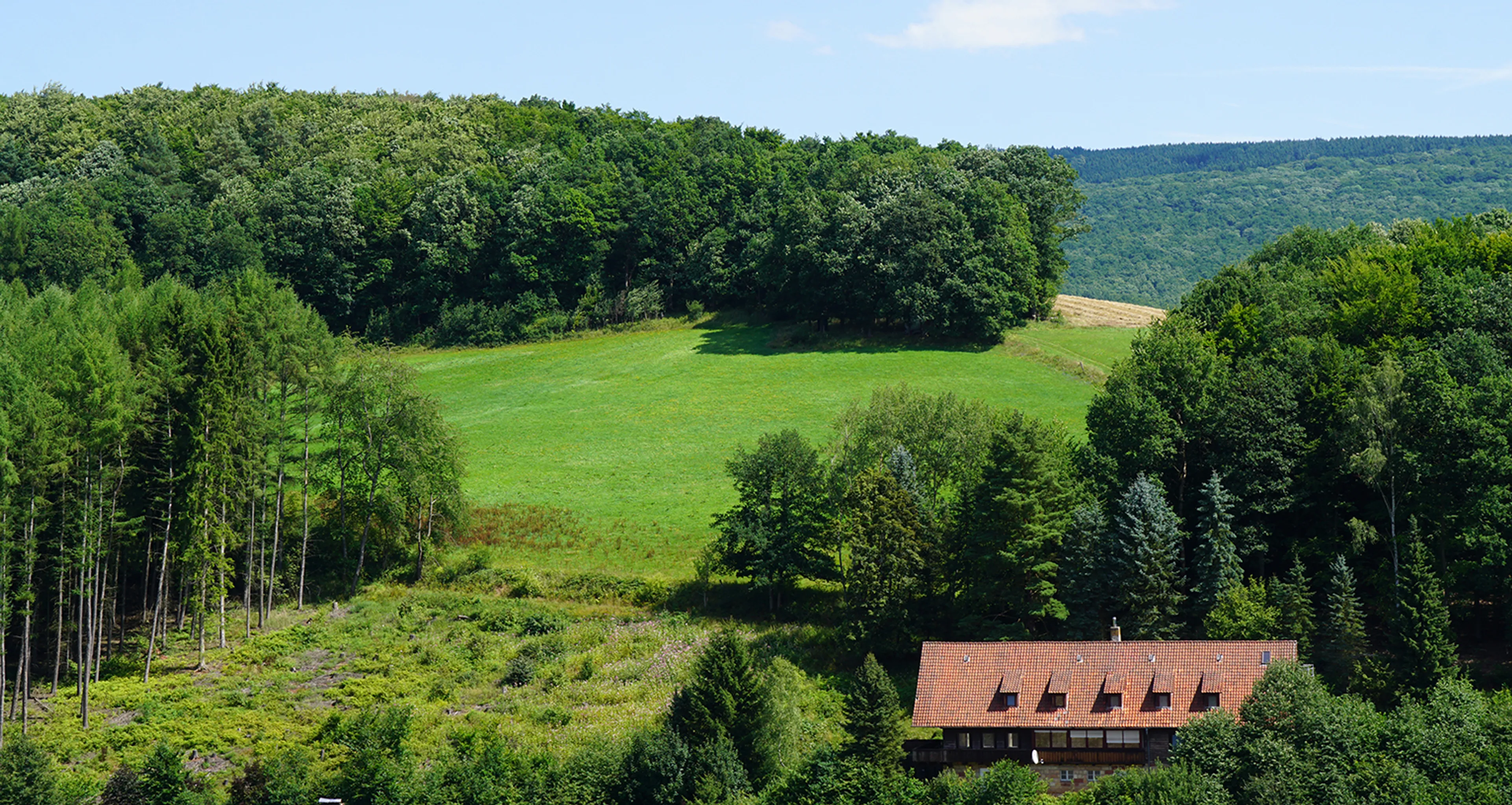 Yoga-Wochenende in der Natur: Abschalten, Aufladen, Ausbalancieren - 4