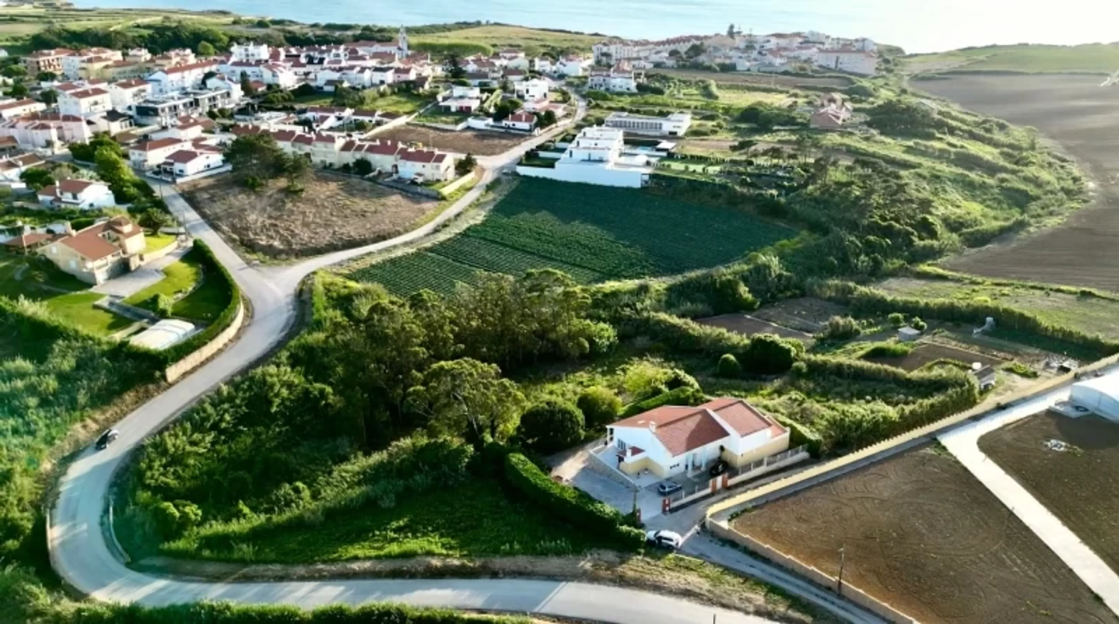 Kreatives Erwachen - Kunst und Yoga an der Atlantikküste - 5