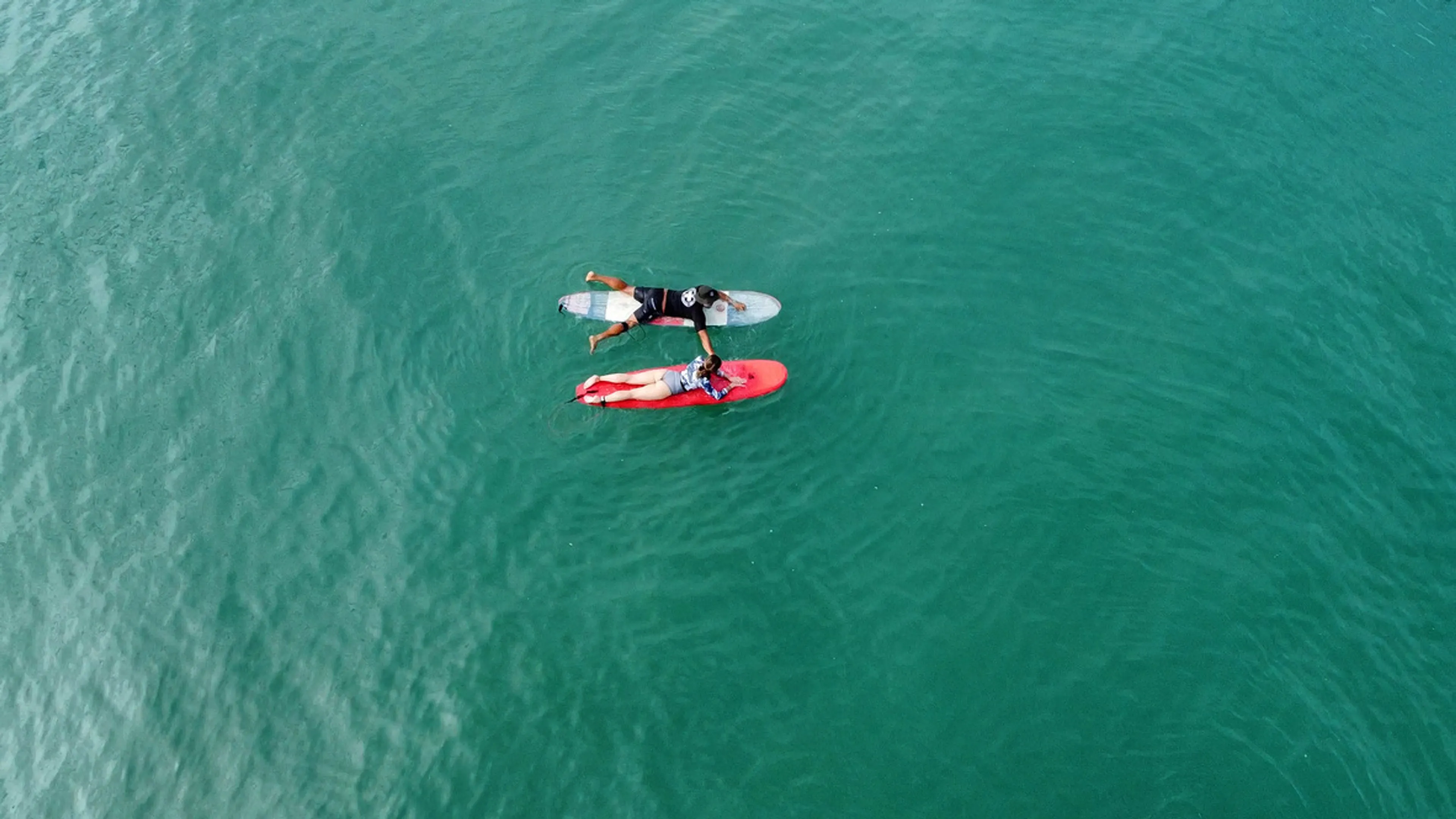 Surfen im Paradies: Dein Abenteuer voller Spaß erwartet dich! - 2
