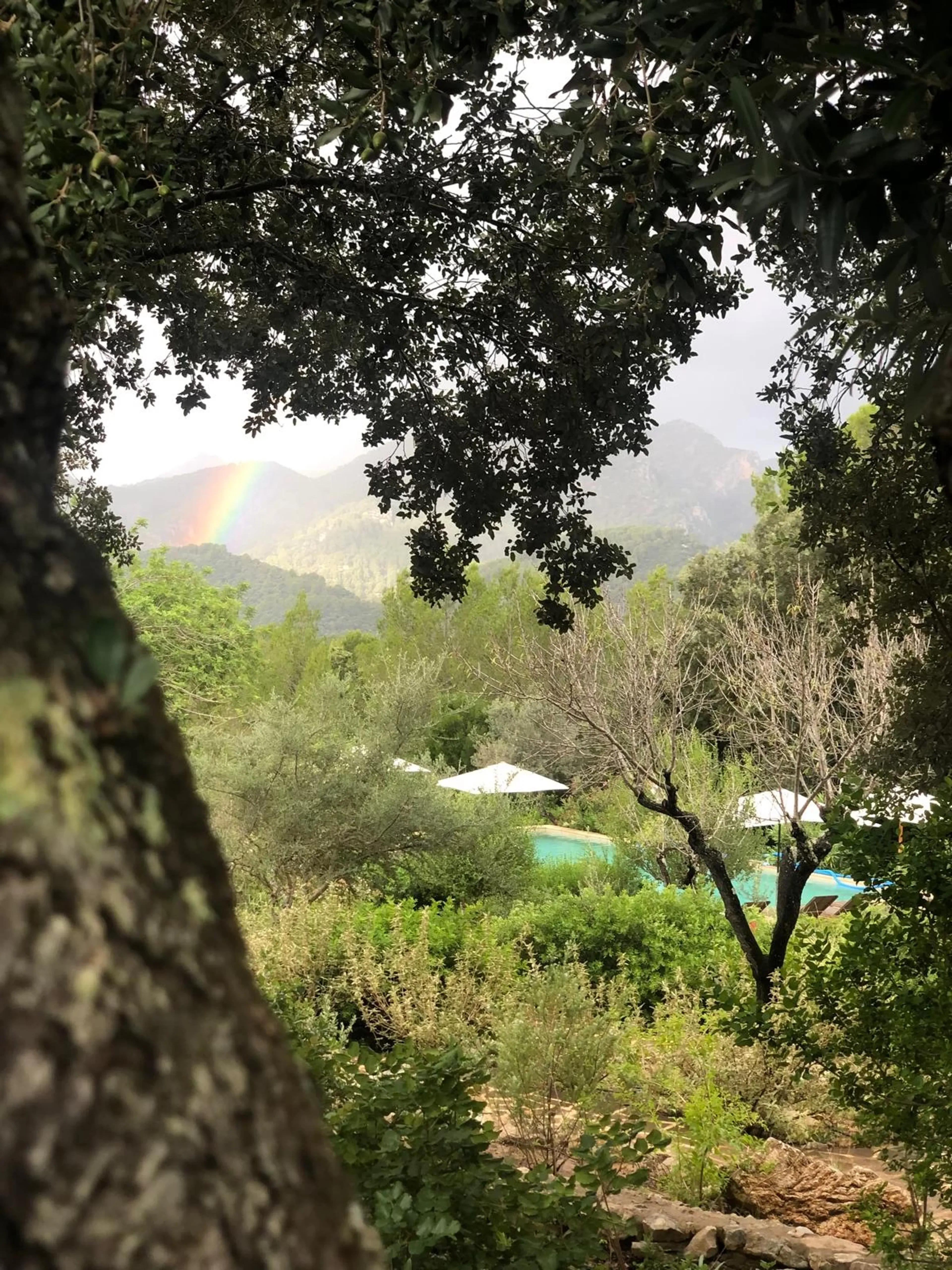 Breathwork & Yin Yoga Retreat mit persönlicher Begleitung auf Mallorca - 2