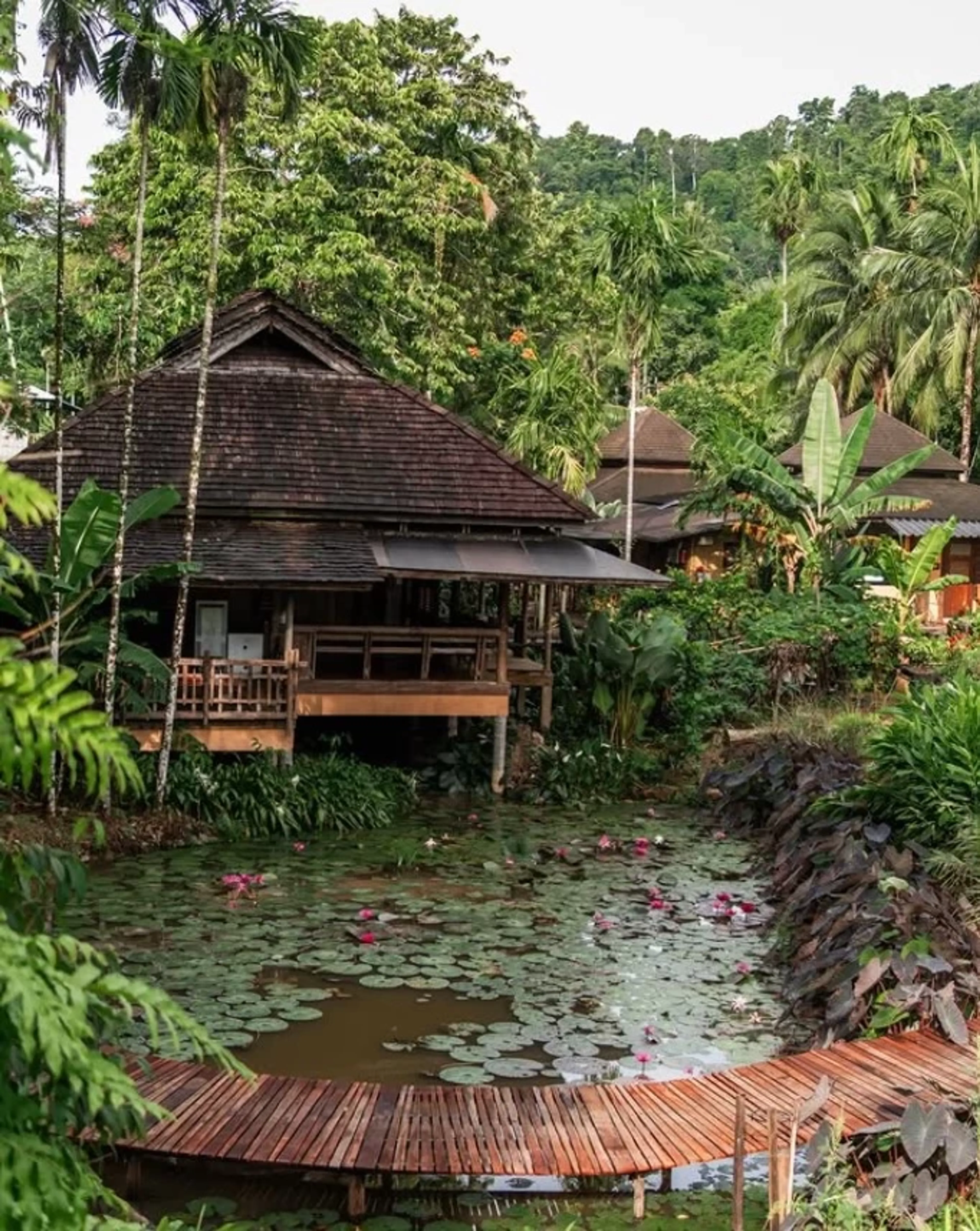 Insel-Detox auf Koh Chang: Saftfasten, Yoga & sanfter Neustart - 2