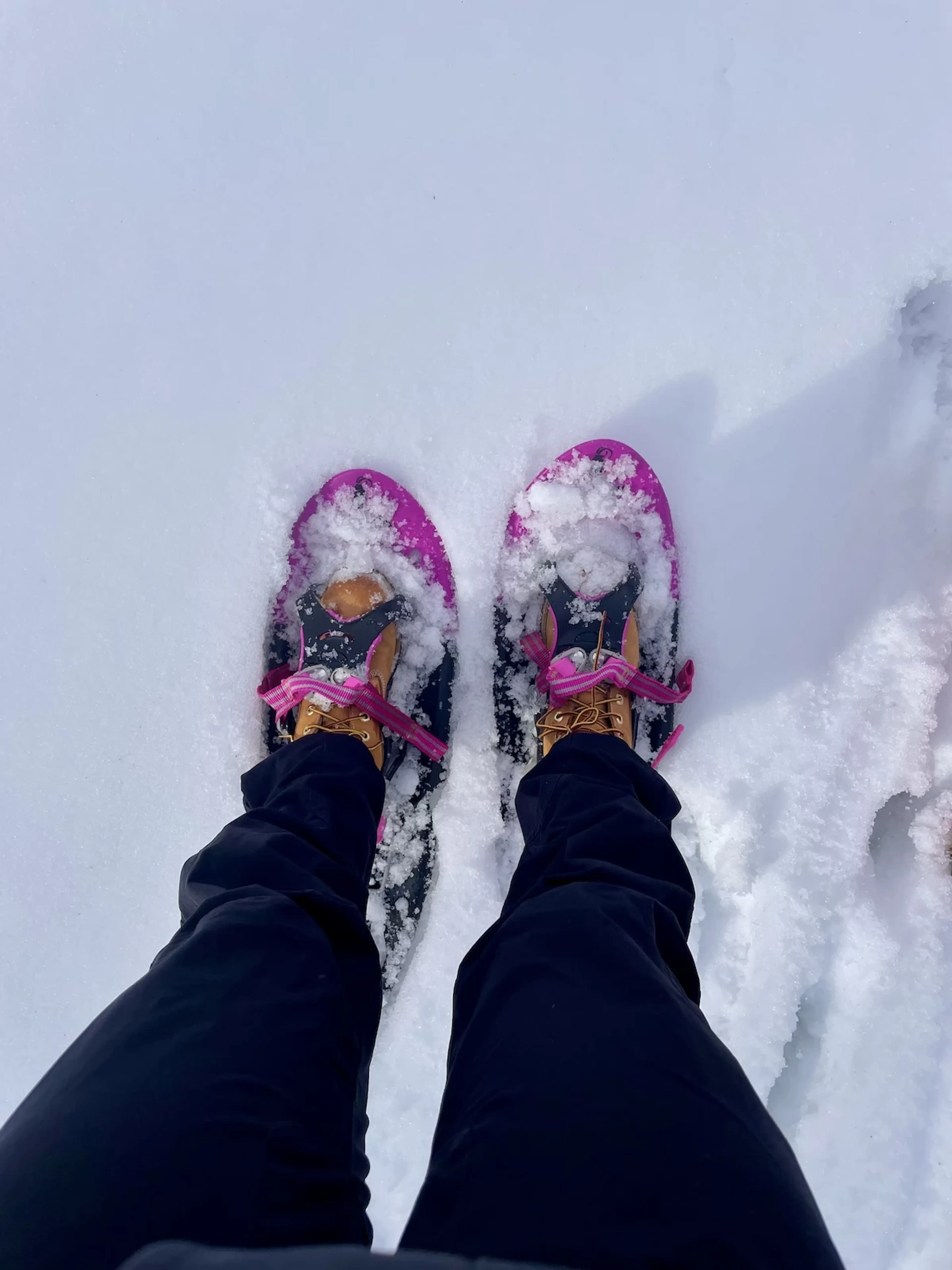 Allgäuer Winteridylle: Yoga & Schneeschuhwandern auf 1300 Metern - 4