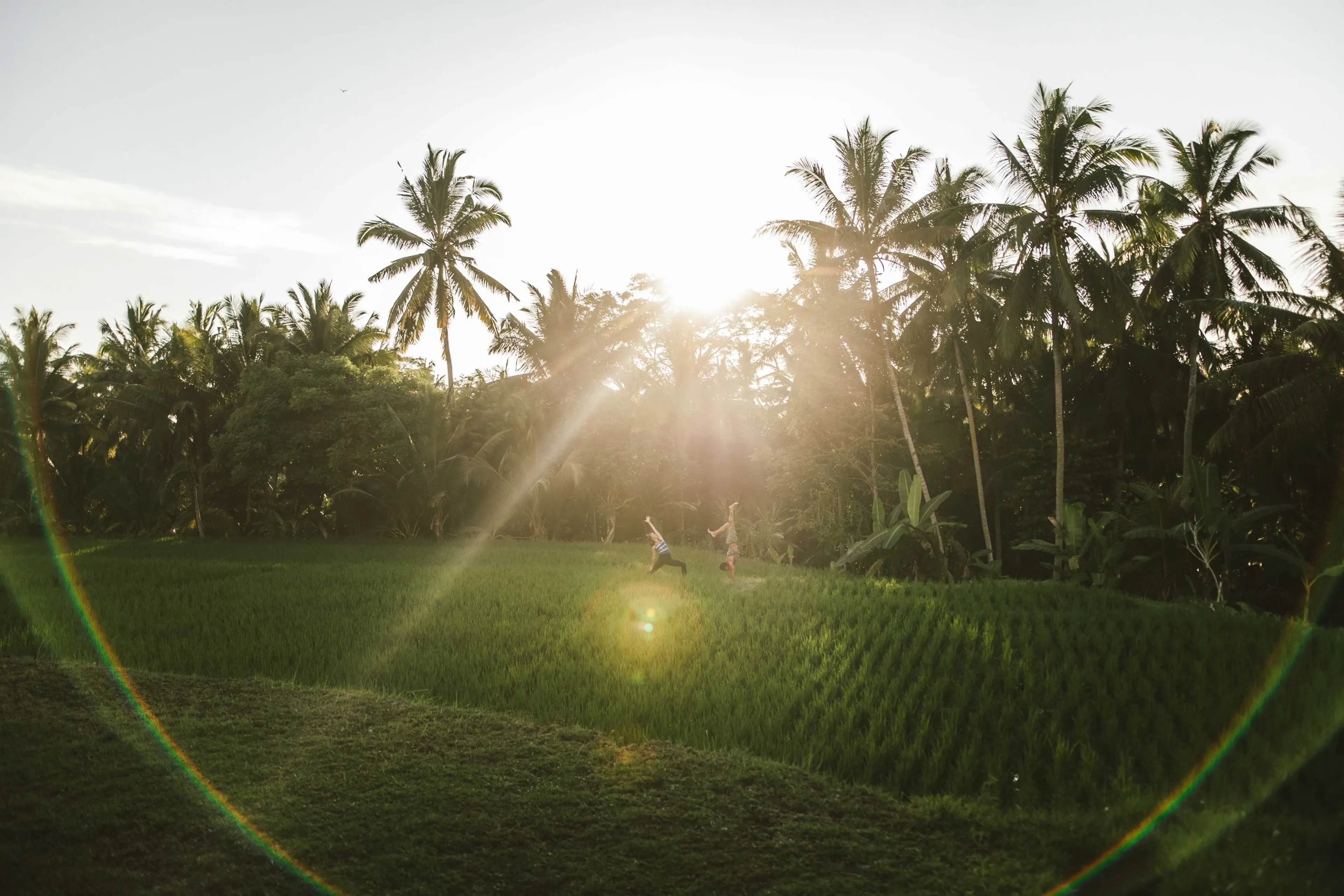 Rückkehr nach Bali: Yoga-Flow & Achtsamkeit zwischen Reisfeldern - 1