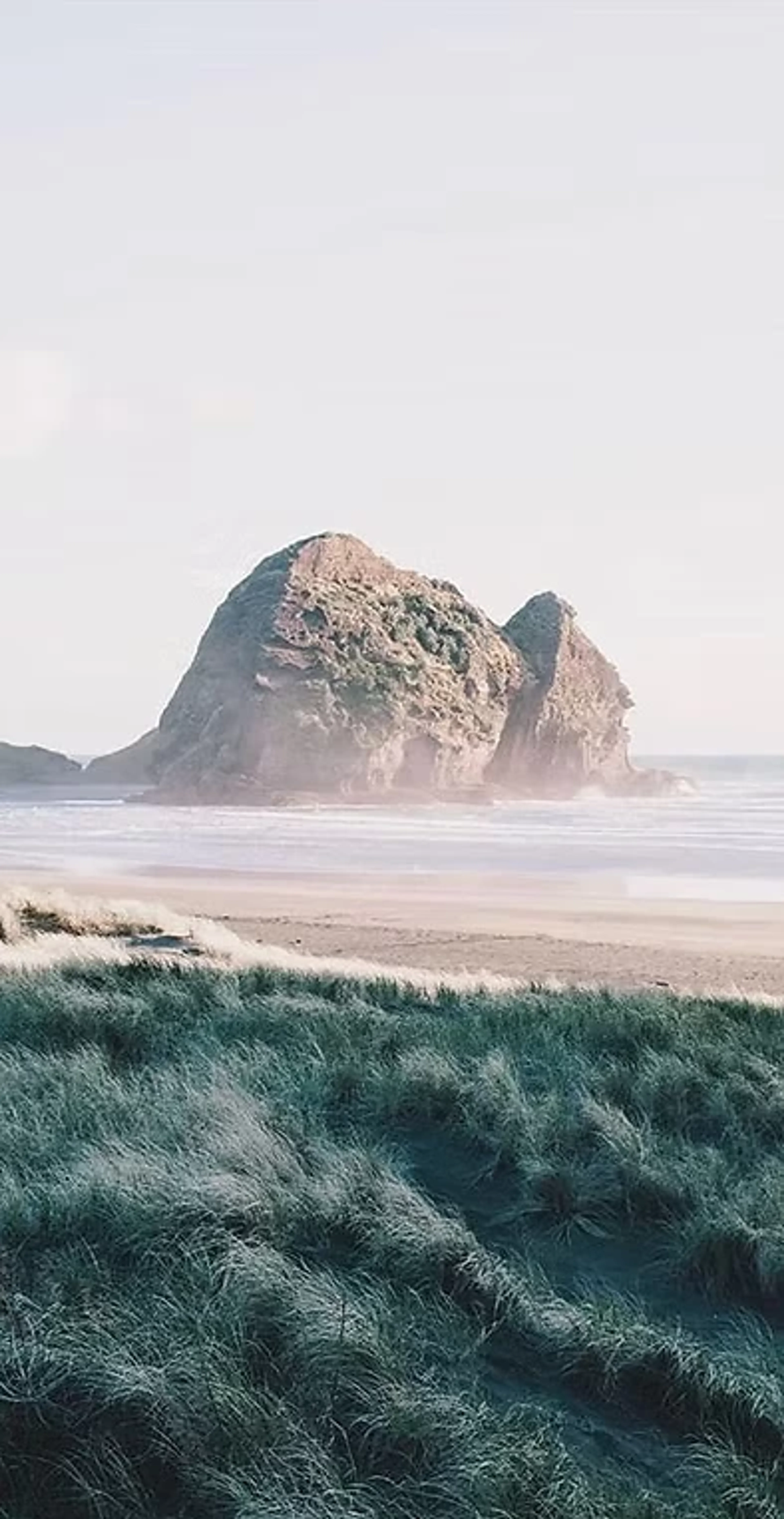 Female Empowerment & Hormonal Balance im grünen Kantabrien - 3