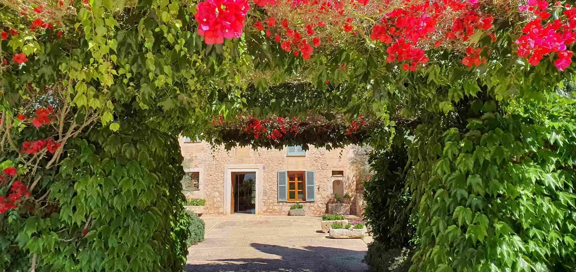Ayurveda-Stressmanagement-Retreat mit Yoga im sonnigen Mallorca - 5