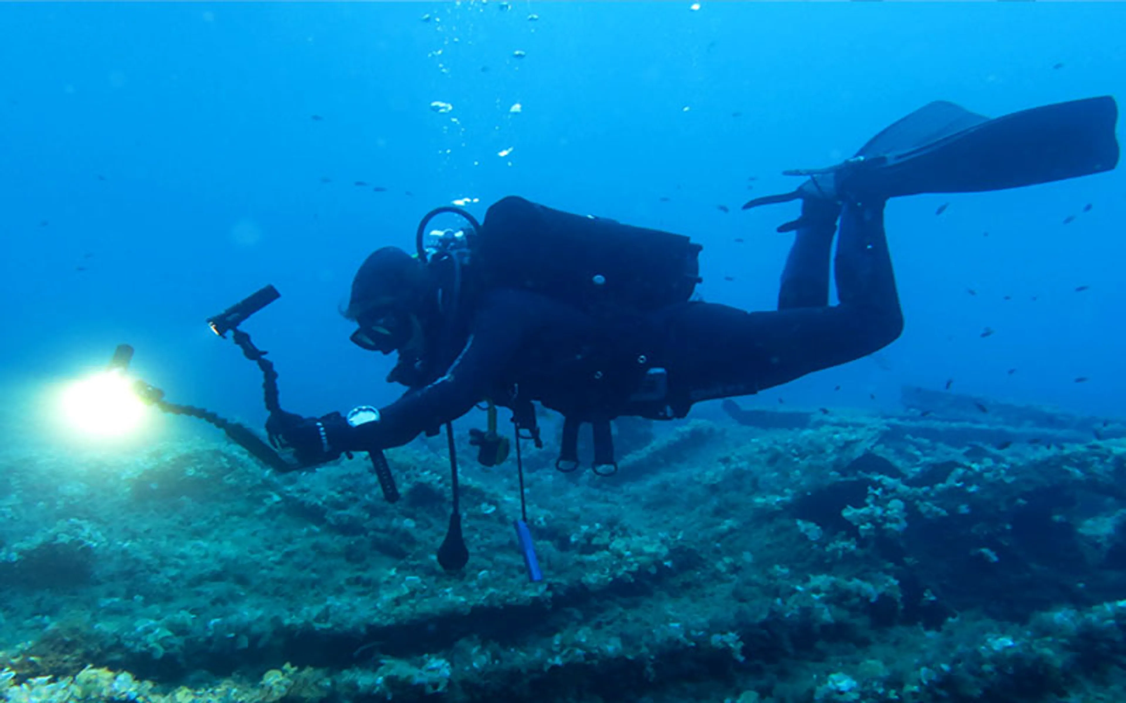 Tauchen an der Algarve: Erkunde die faszinierende Unterwasserwelt - 1