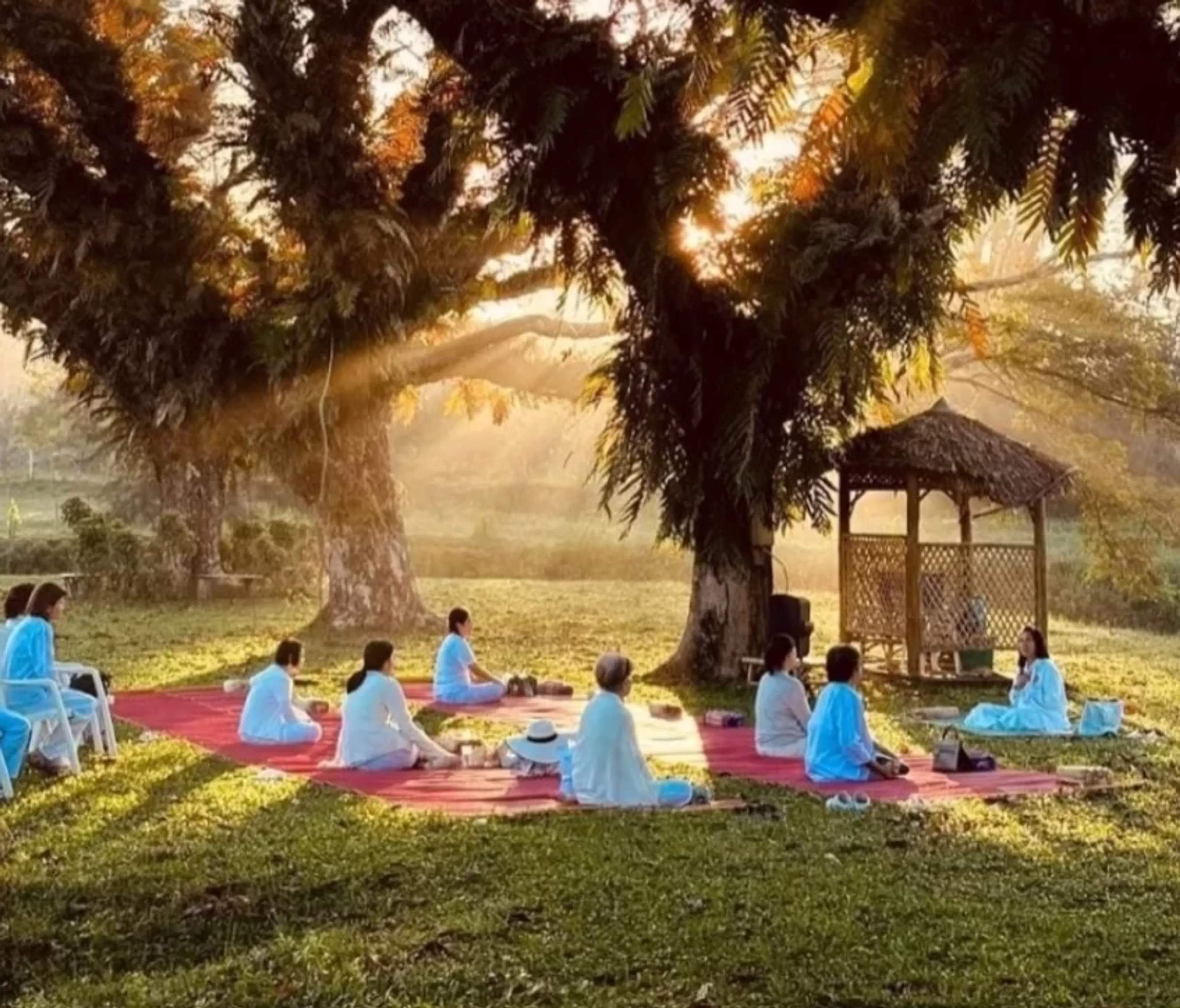 Authentisches Yoga-Retreat in Thailand: Erfrische Körper & Geist - 2