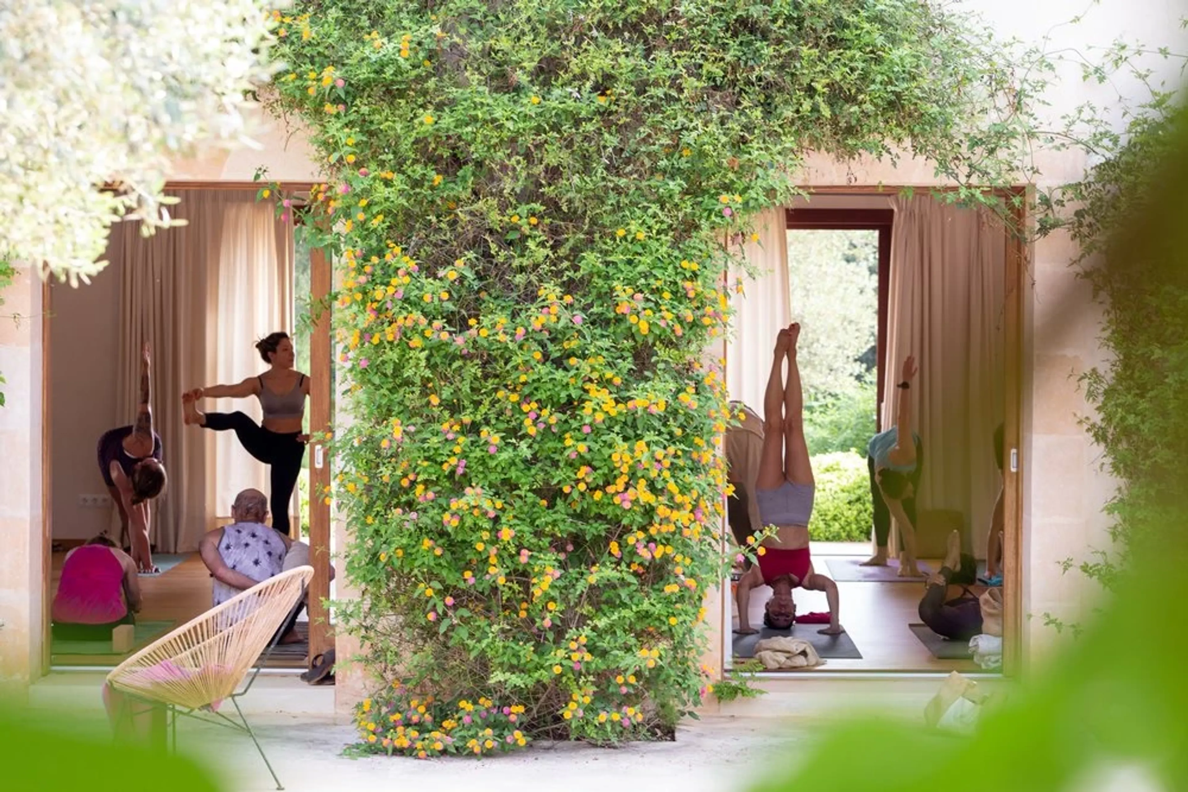 Intensives Mysore Retreat mit Kino MacGregor & Tim Feldmann - 2