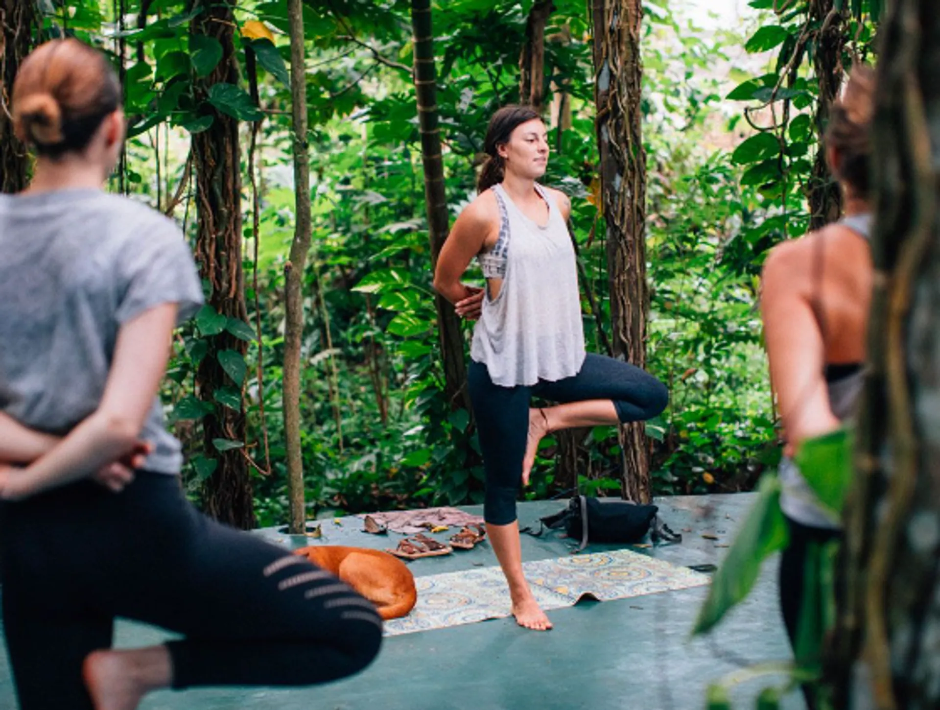 Yoga-Urlaub in Sri Lanka:  Lange Strände und wohltuende grüne Natur