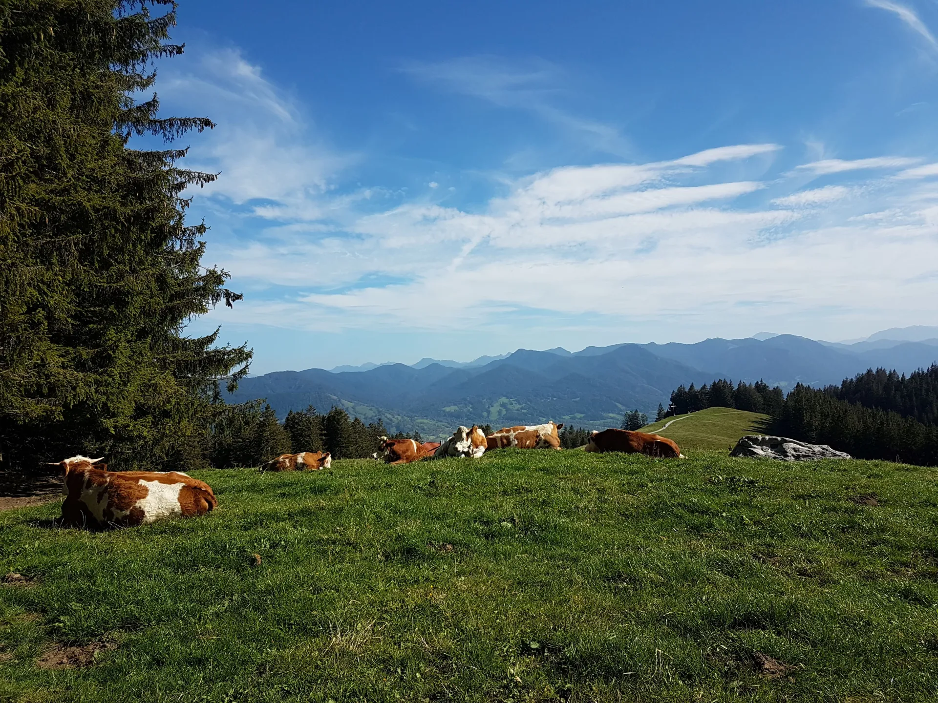 Yoga und Wandern im traumhaften Isarwinkel - 3