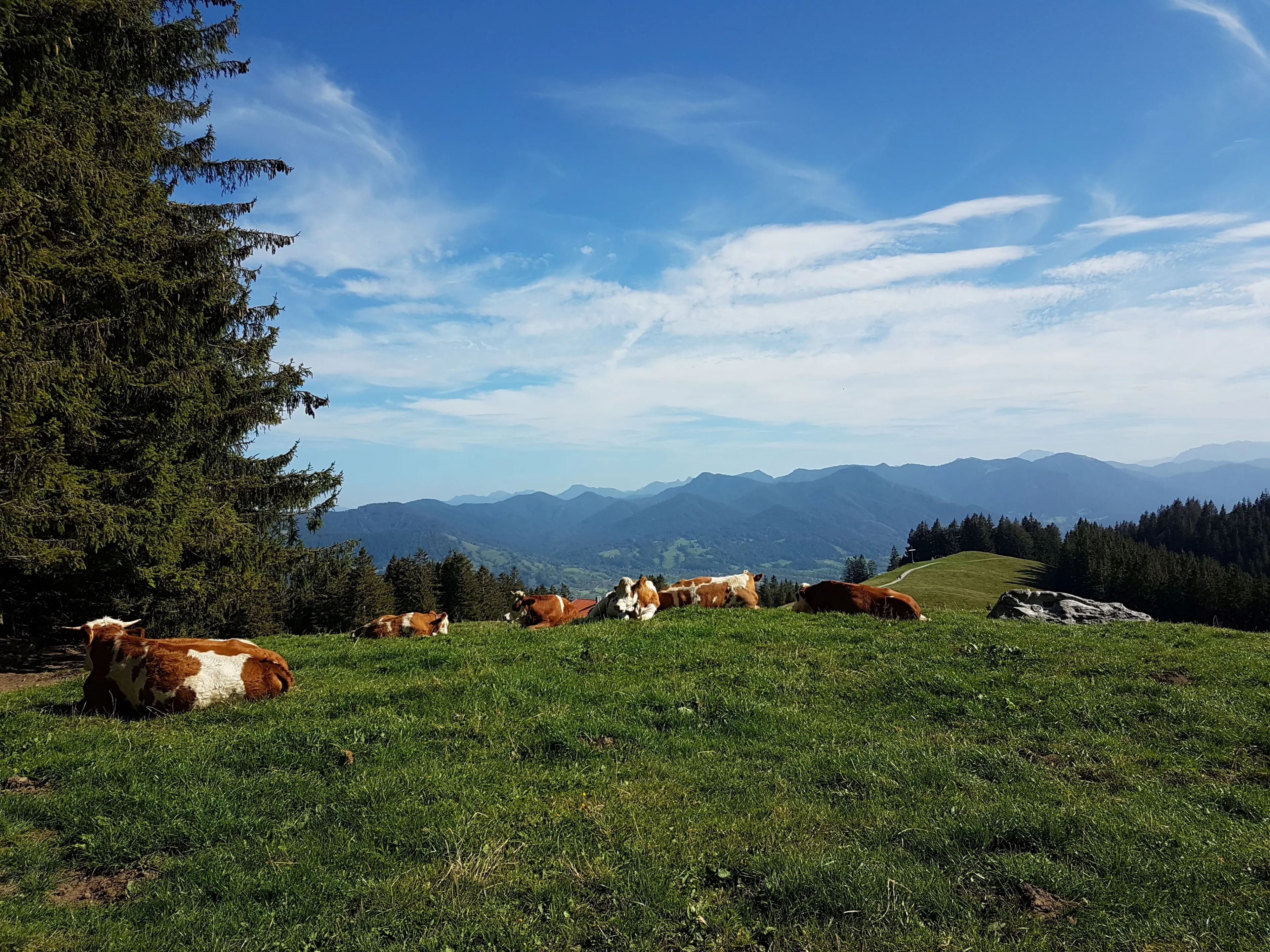 Yoga und Wandern im traumhaften Isarwinkel - 3