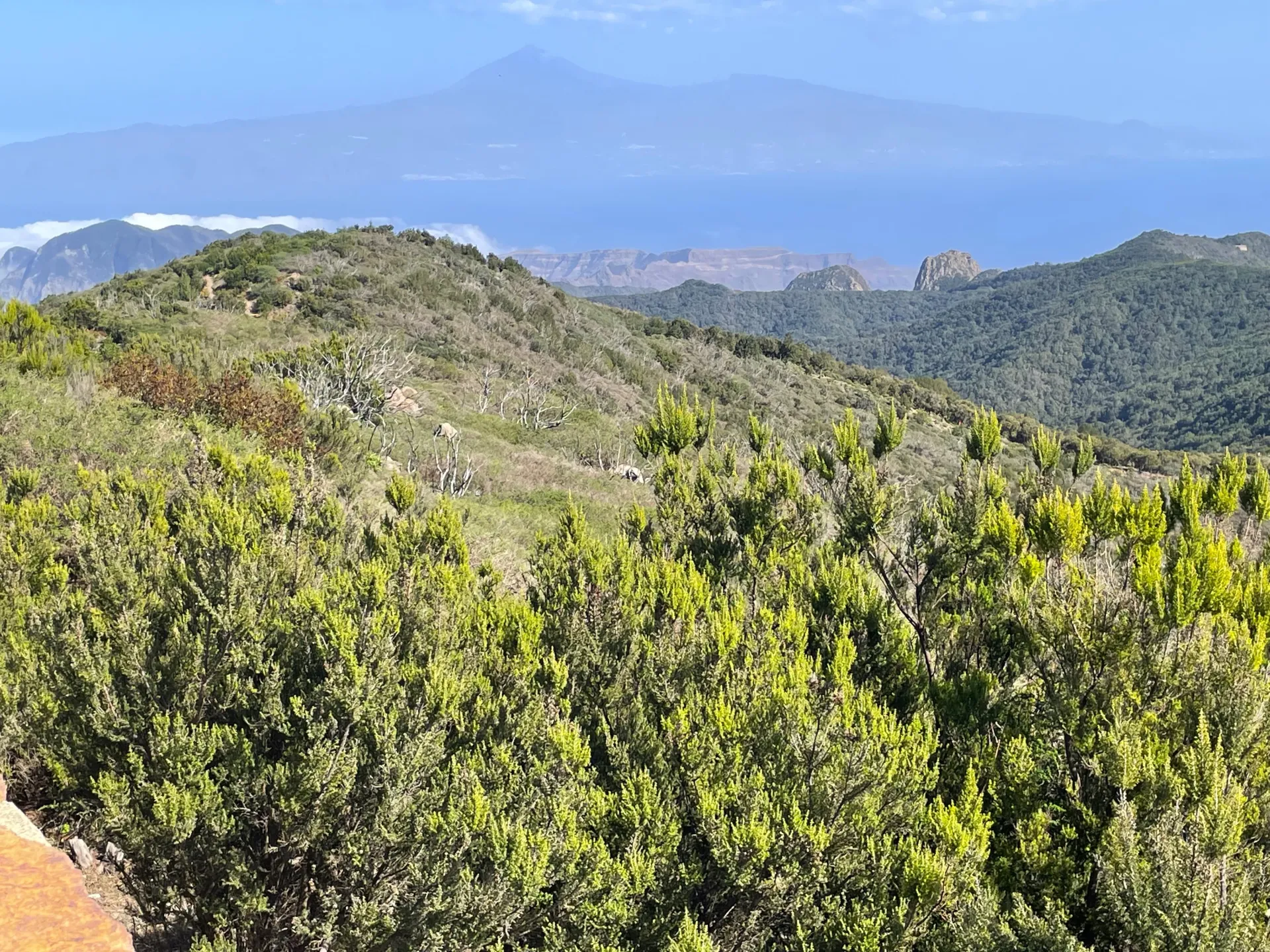 Auszeit auf La Gomera mit Yoga, Sonne, Strand und Wanderungen - 4