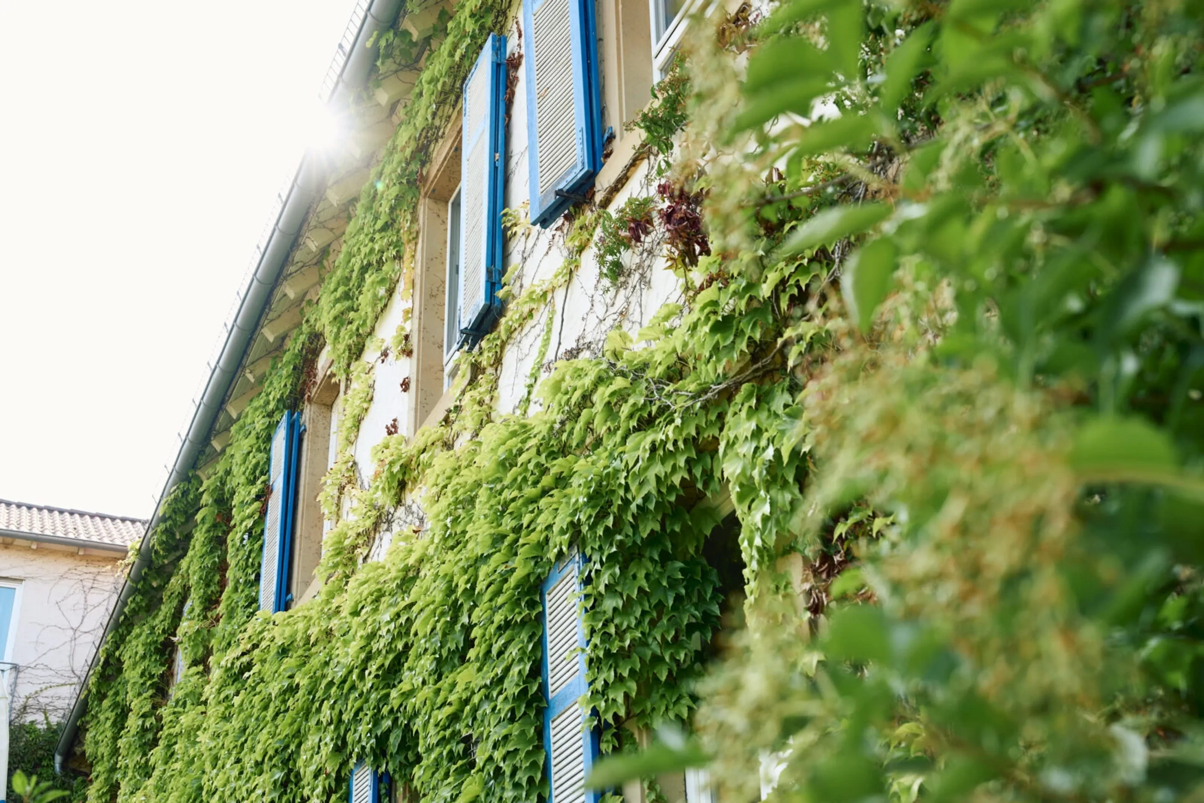 Yoga-Wochenende im Weinberghotel: Deine wohlverdiente Auszeit - 3