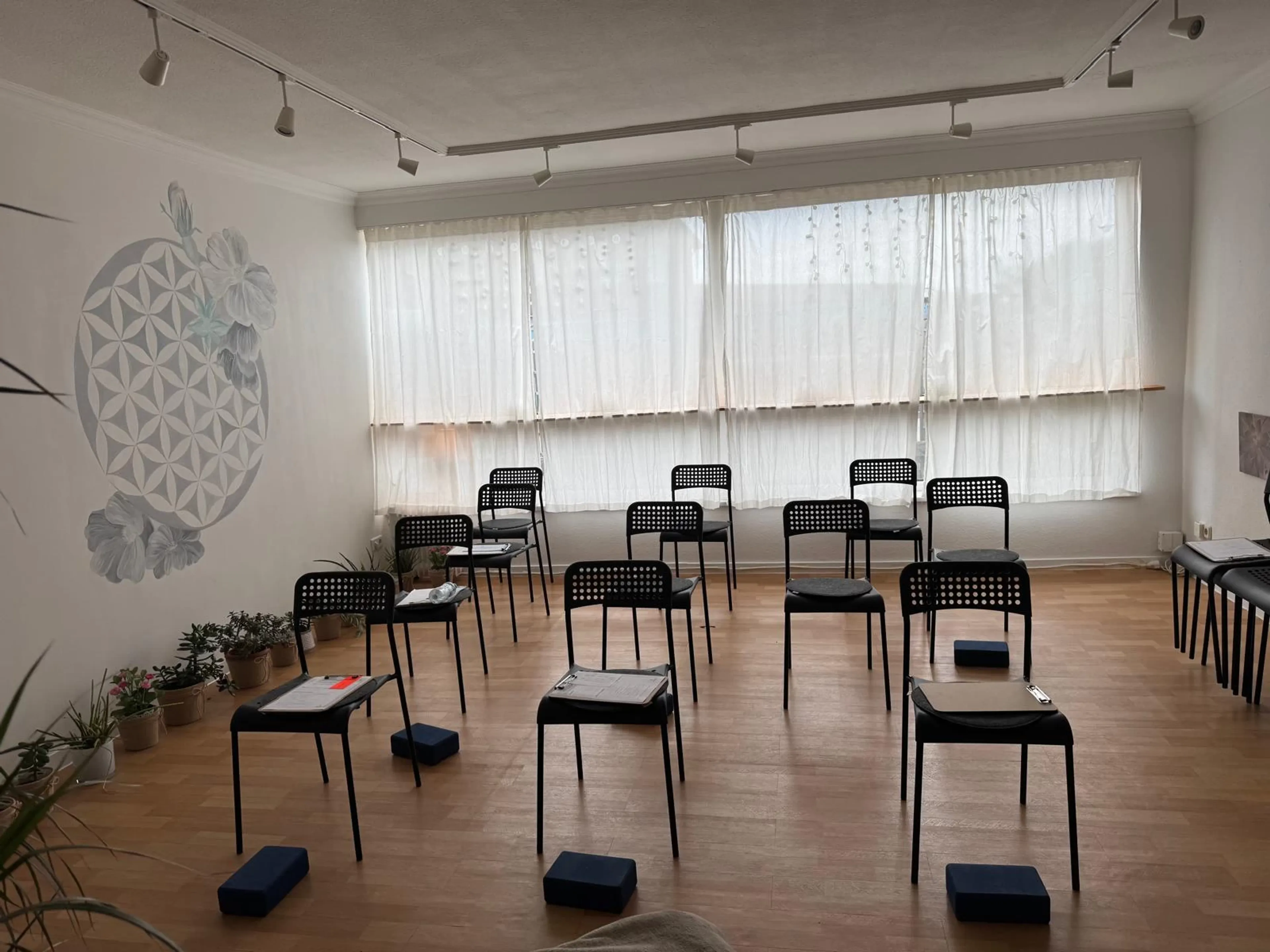 Anerkannter Bildungsurlaub: Deine Yogalehrer:innen-Ausbildung auf Sylt - 2