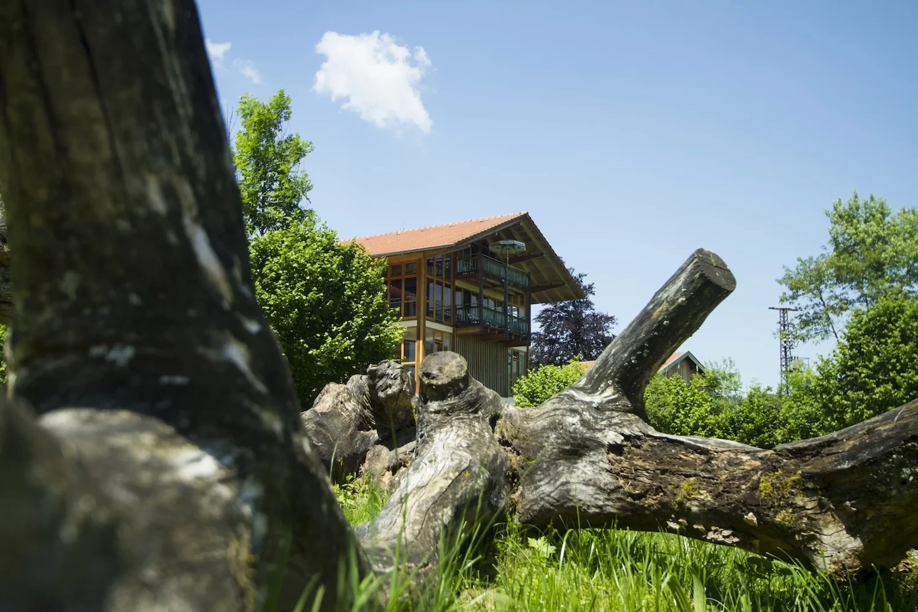 Yin Yoga Retreat in traumhafter Natur - 3