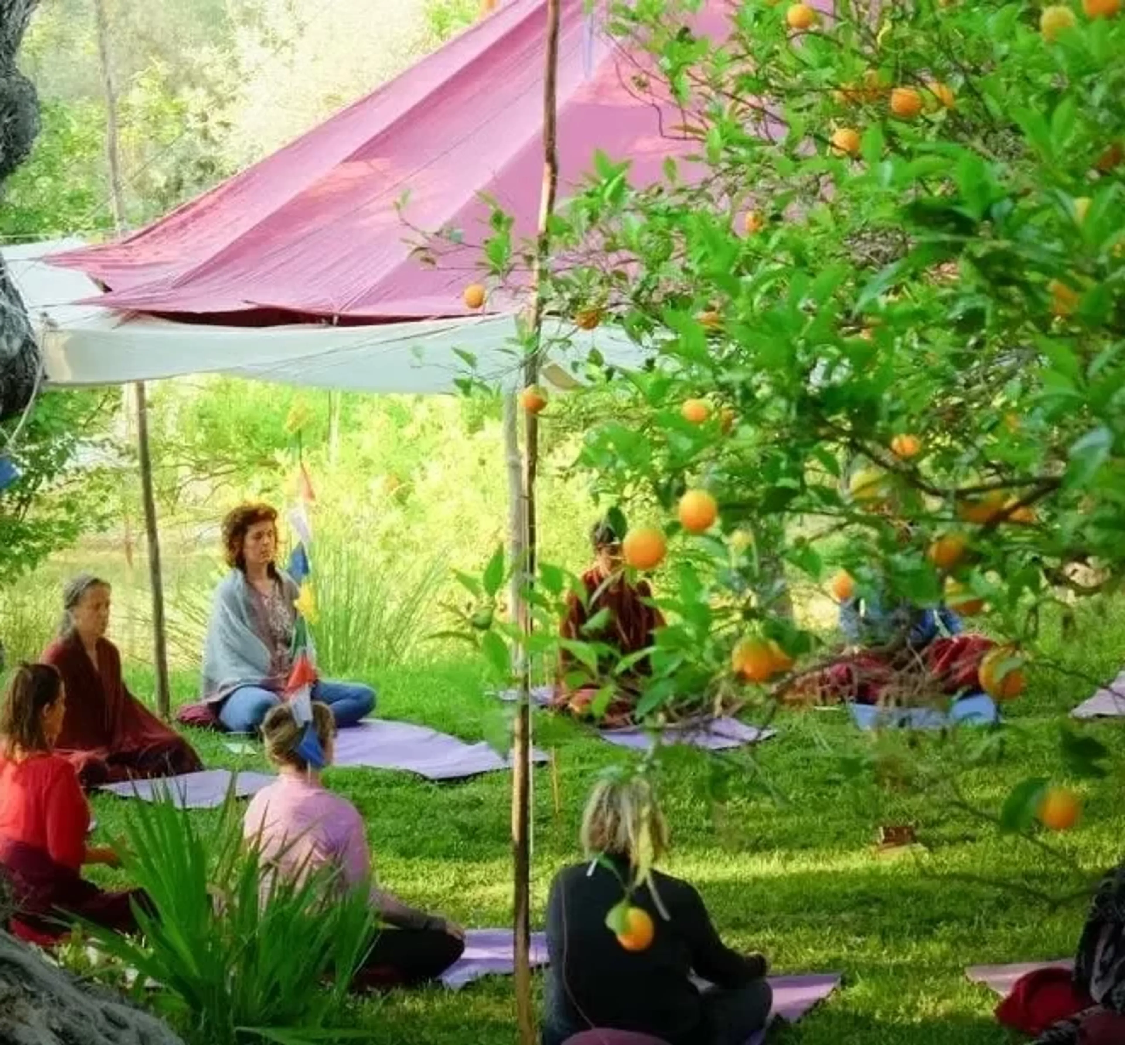 Yoga im Zeichen der Elemente: Vertiefende Praxis und Zertifikat - 3