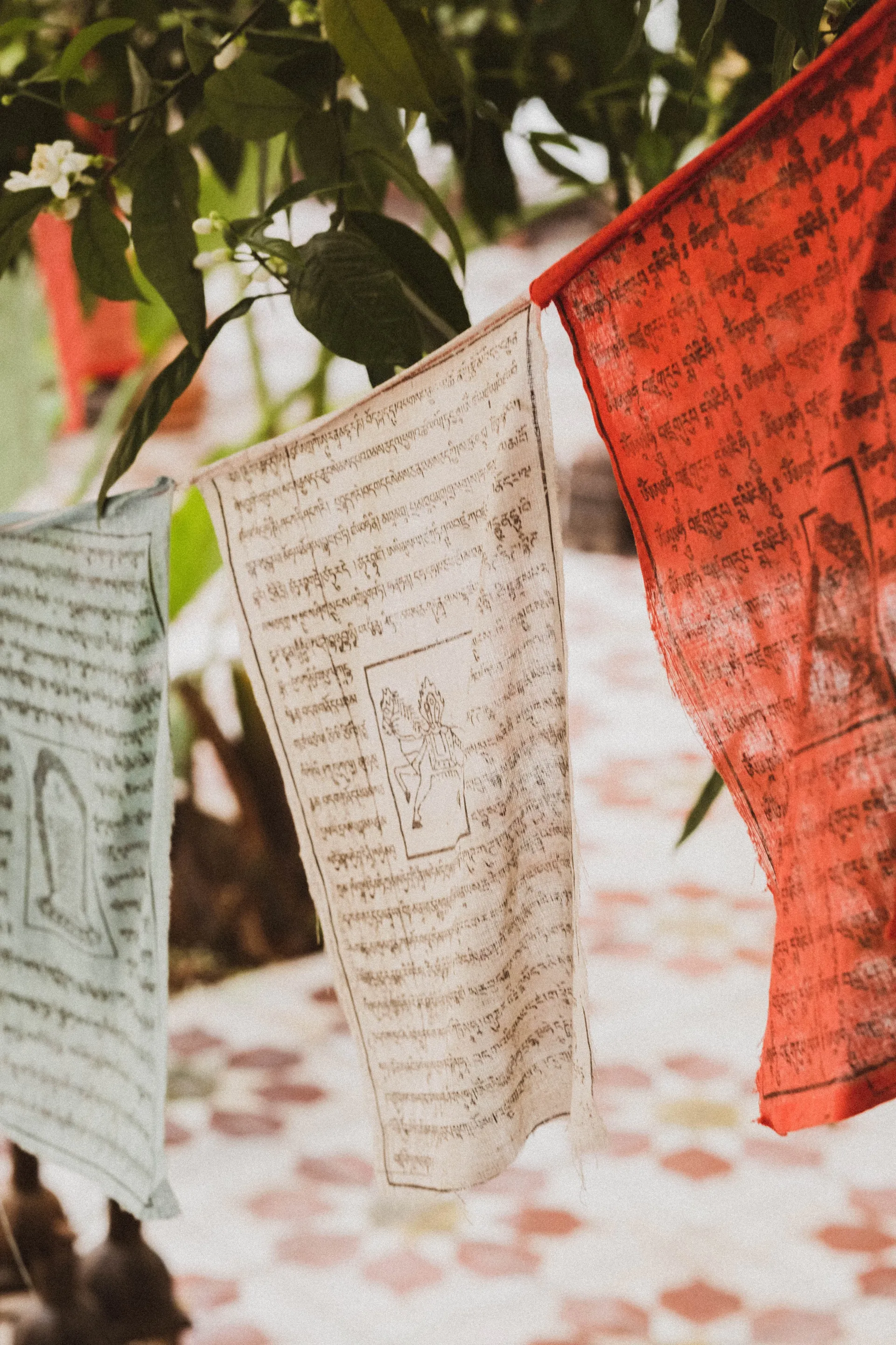 Entschleunigung in der Medina: Yoga- & Wellness-Retreat in Marrakesch - 5