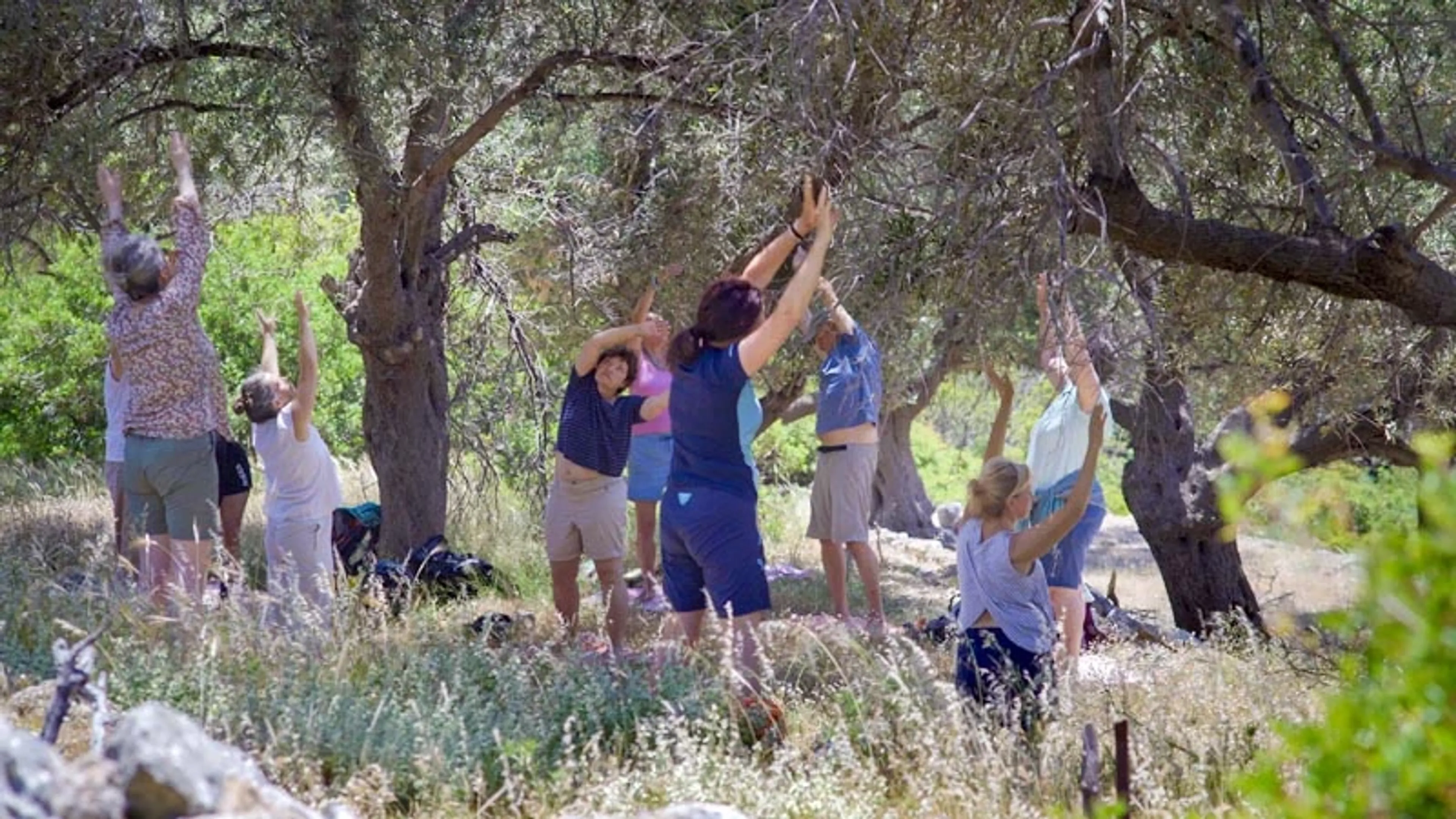 Qigong-Urlaub auf Kreta – Qigong in der Natur und am Strand - 5