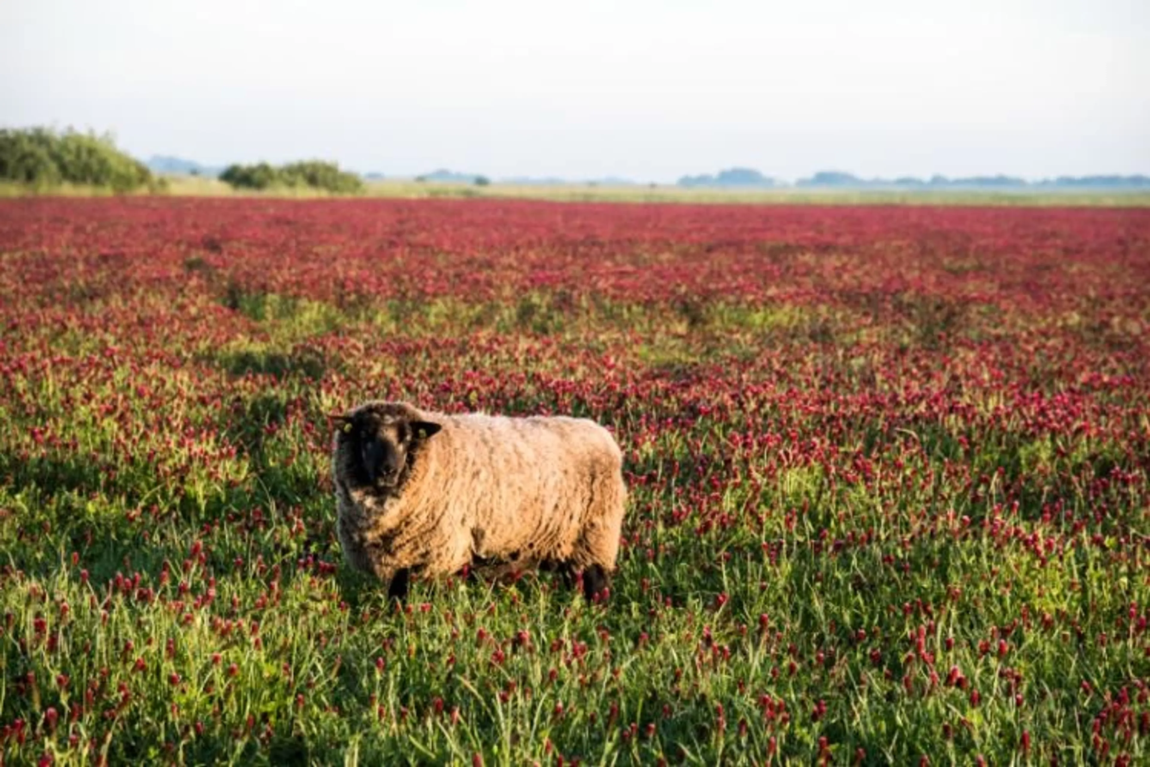 Yoga und Ayurveda für Frauen: Spüre die Kraft und Energie der Nordsee - 2