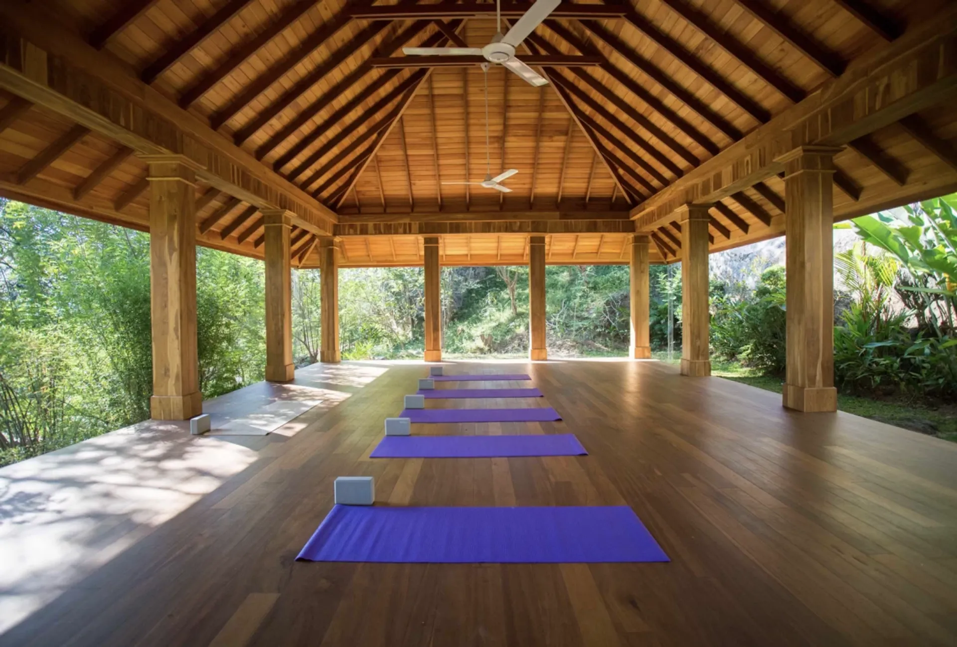 Yoga, Safari & Ayurveda – Eine Rundreise für Körper und Seele - 2