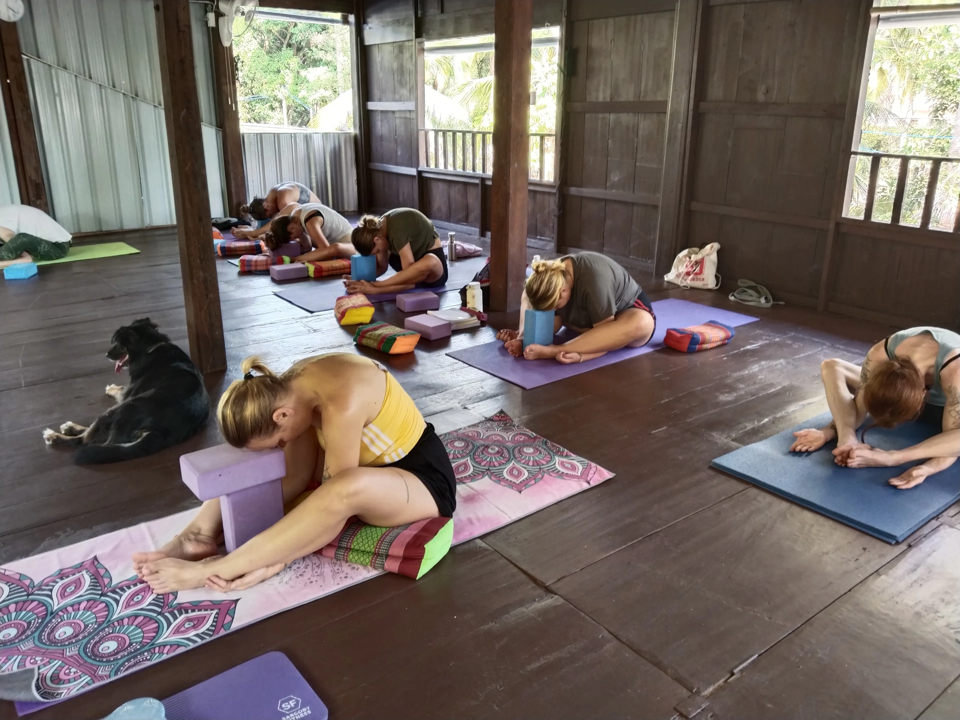 200 Stunden Hatha Yoga Teacher Training im Paradies - 3