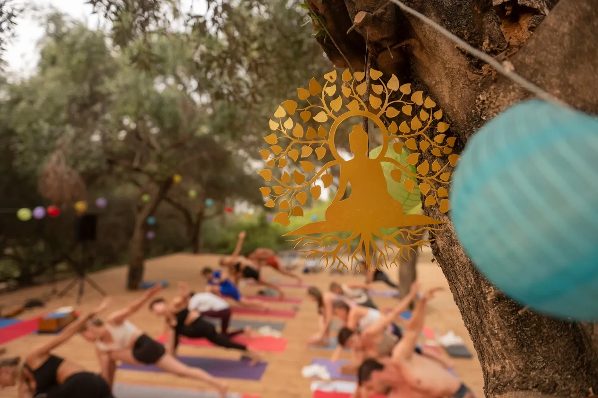 Yoga Retreat auf Korfu zwischen Olivenhainen und Meer - 5