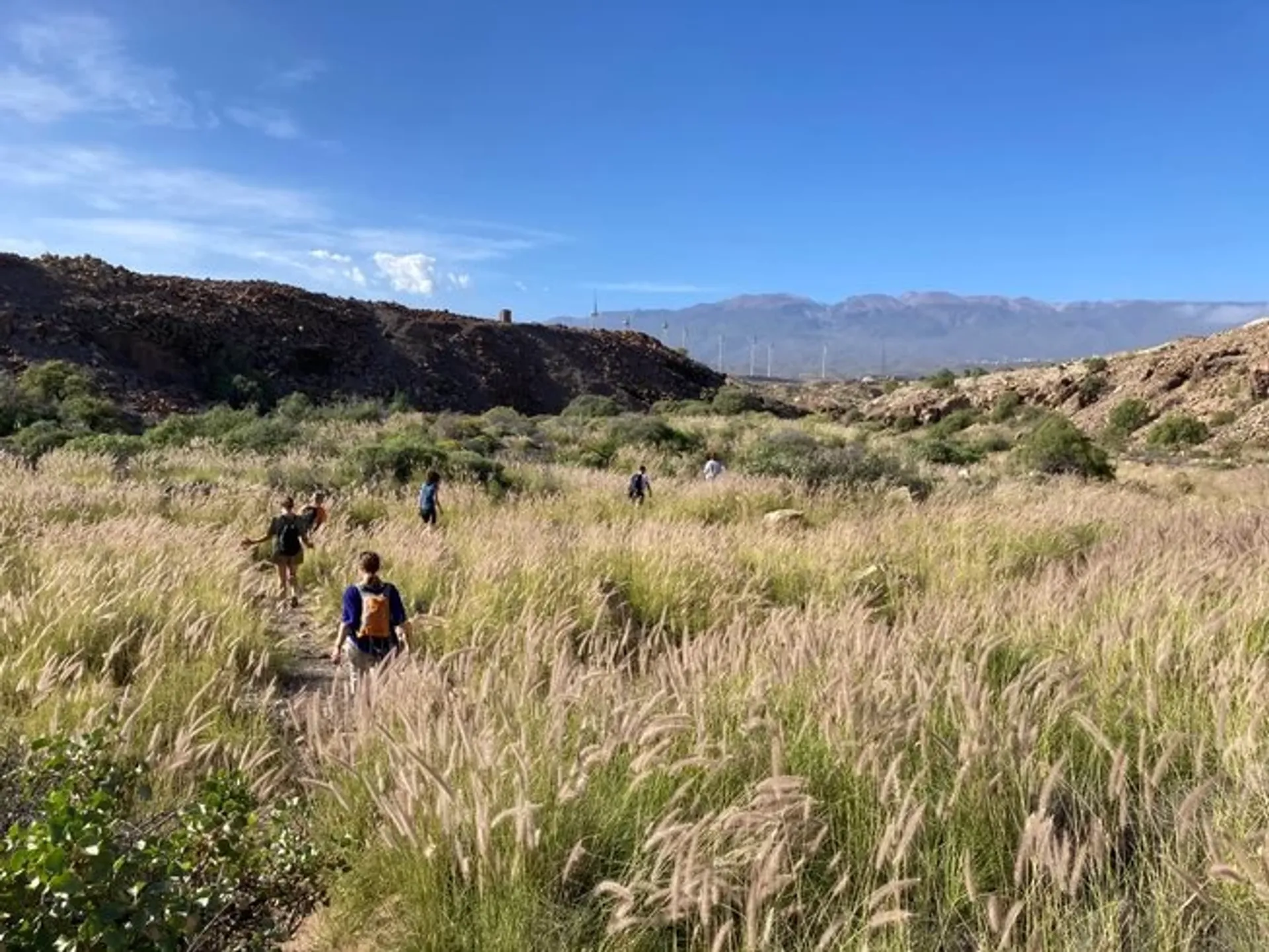 Soul Reset auf Teneriffa: Transformation mit Yoga und Psychologie - 4