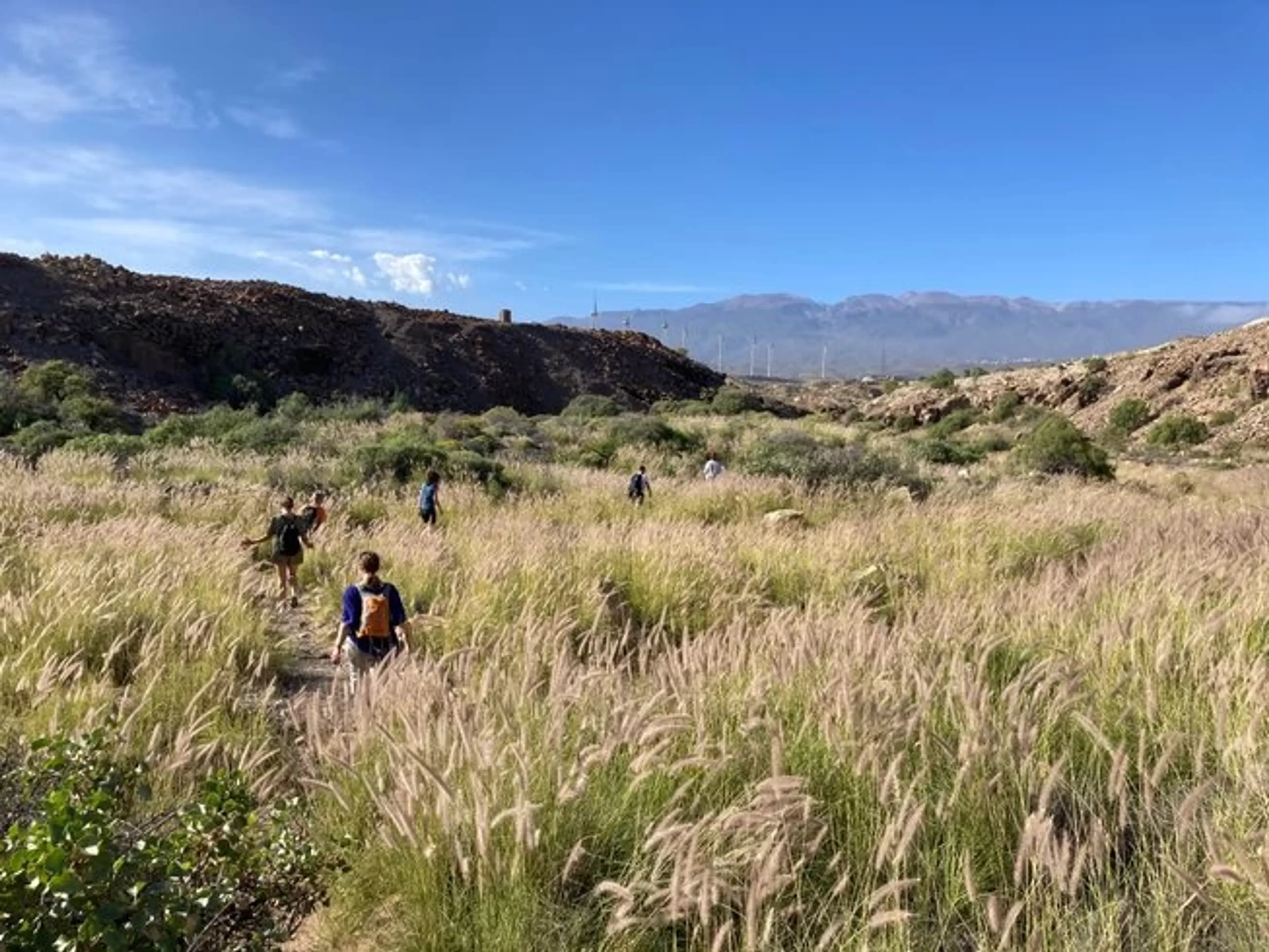 Soul Reset auf Teneriffa: Transformation mit Yoga und Psychologie - 4