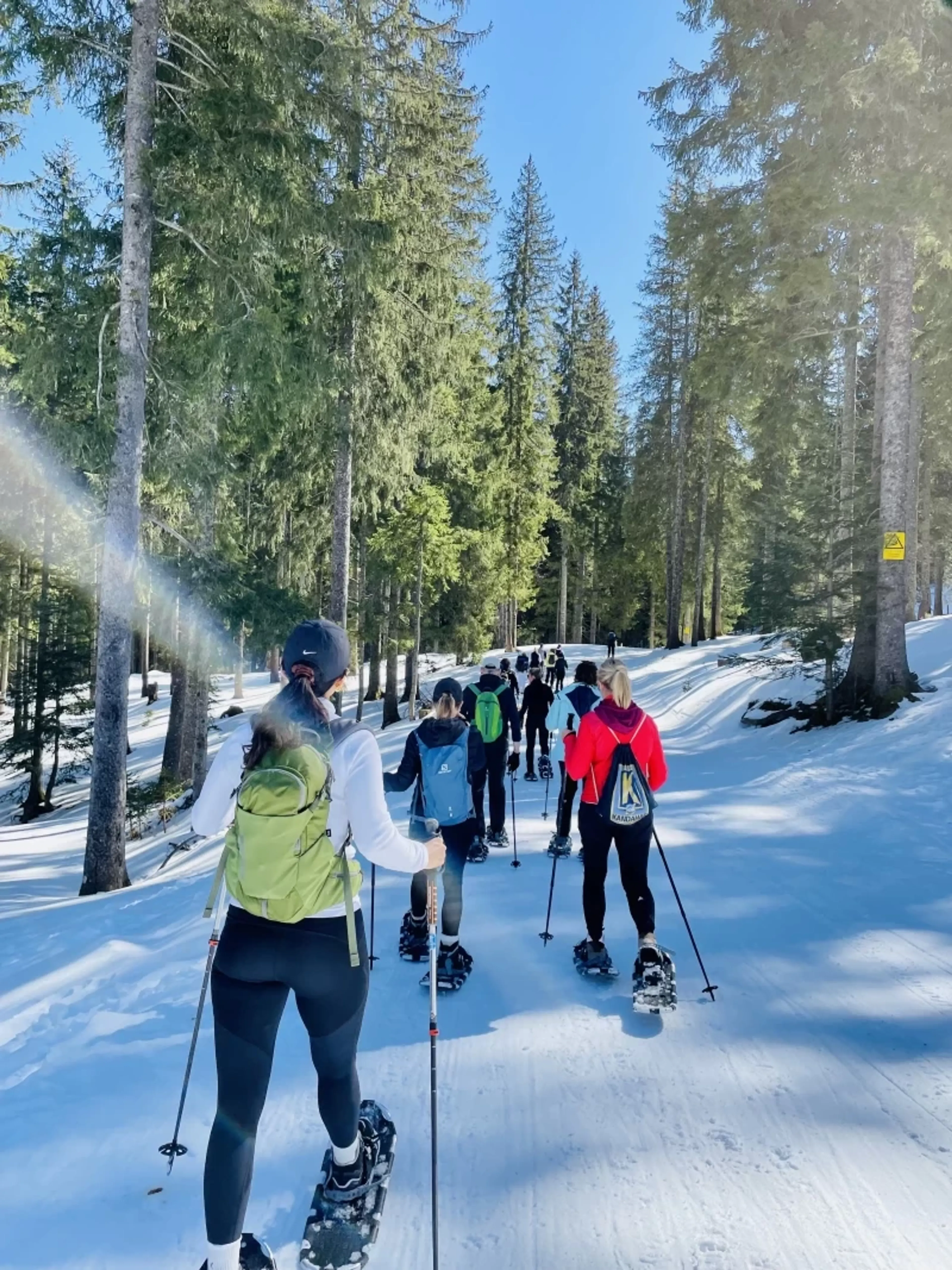 Yoga & Schneeschuhwandern: Entschleunige in der winterlichen Bergwelt - 3