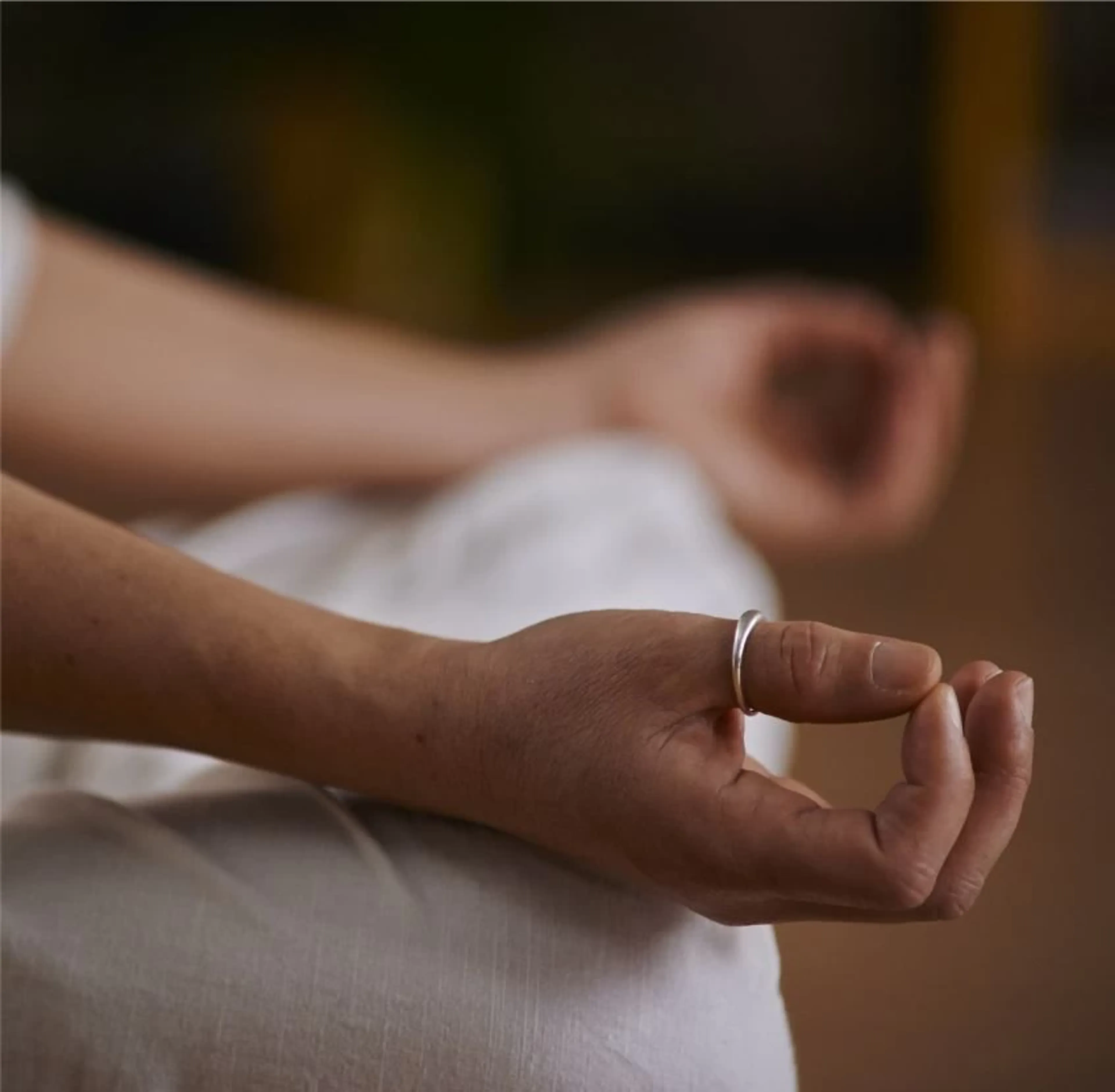 Yoga Retreat im Thüringer Wald: Verwurzlung, Rückverbindung & Klarheit - 3