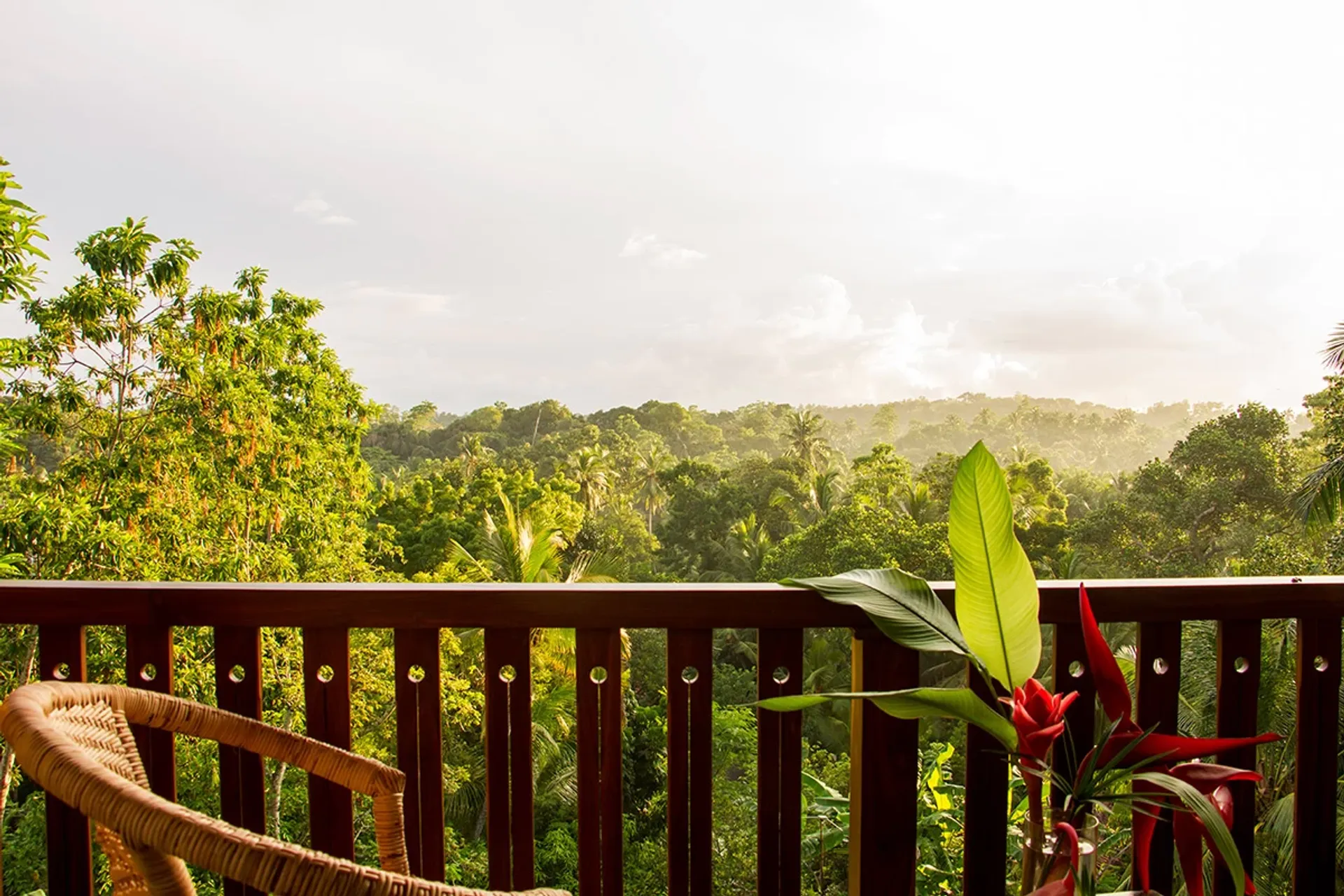 Yoga, Dschungel und Meer: Traumurlaub in Unawatuna - 4
