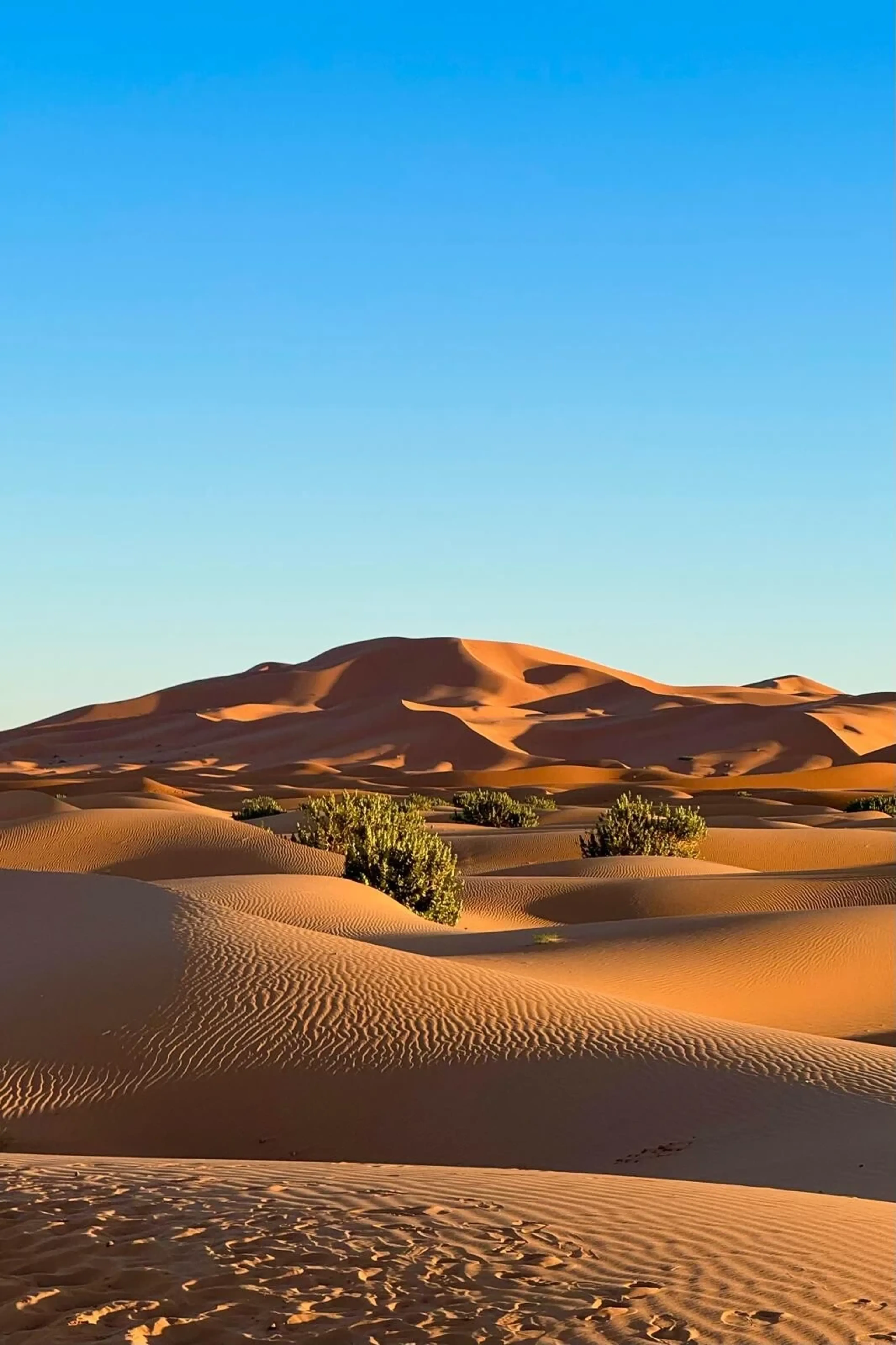 Sahara Soul Journey: Luxuriöses Yoga- und Kultur-Retreat - 3