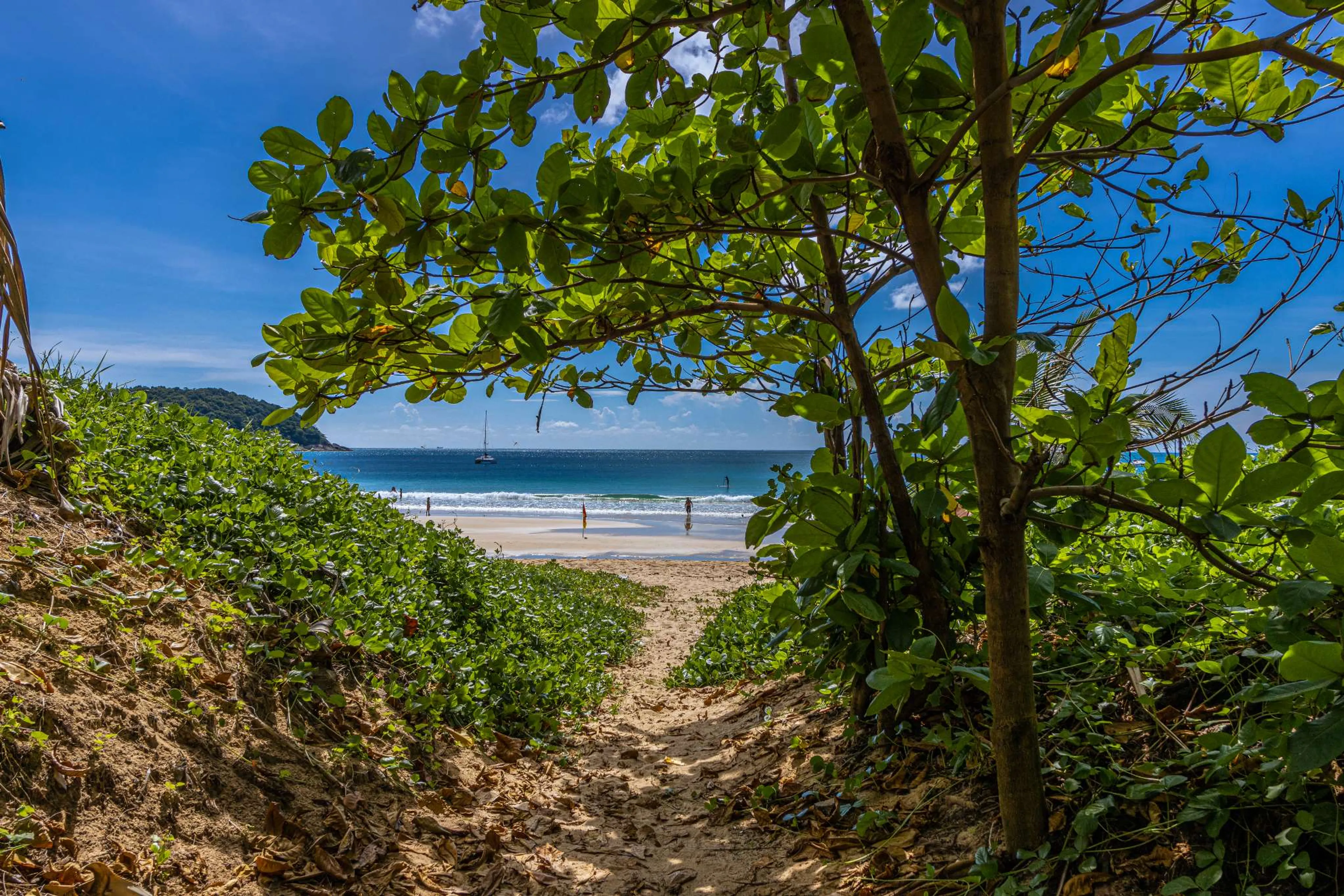 Ananda Heilungs-Retreat: Mit Yoga, Ayurveda & Reiki zu Glückseligkeit - 3