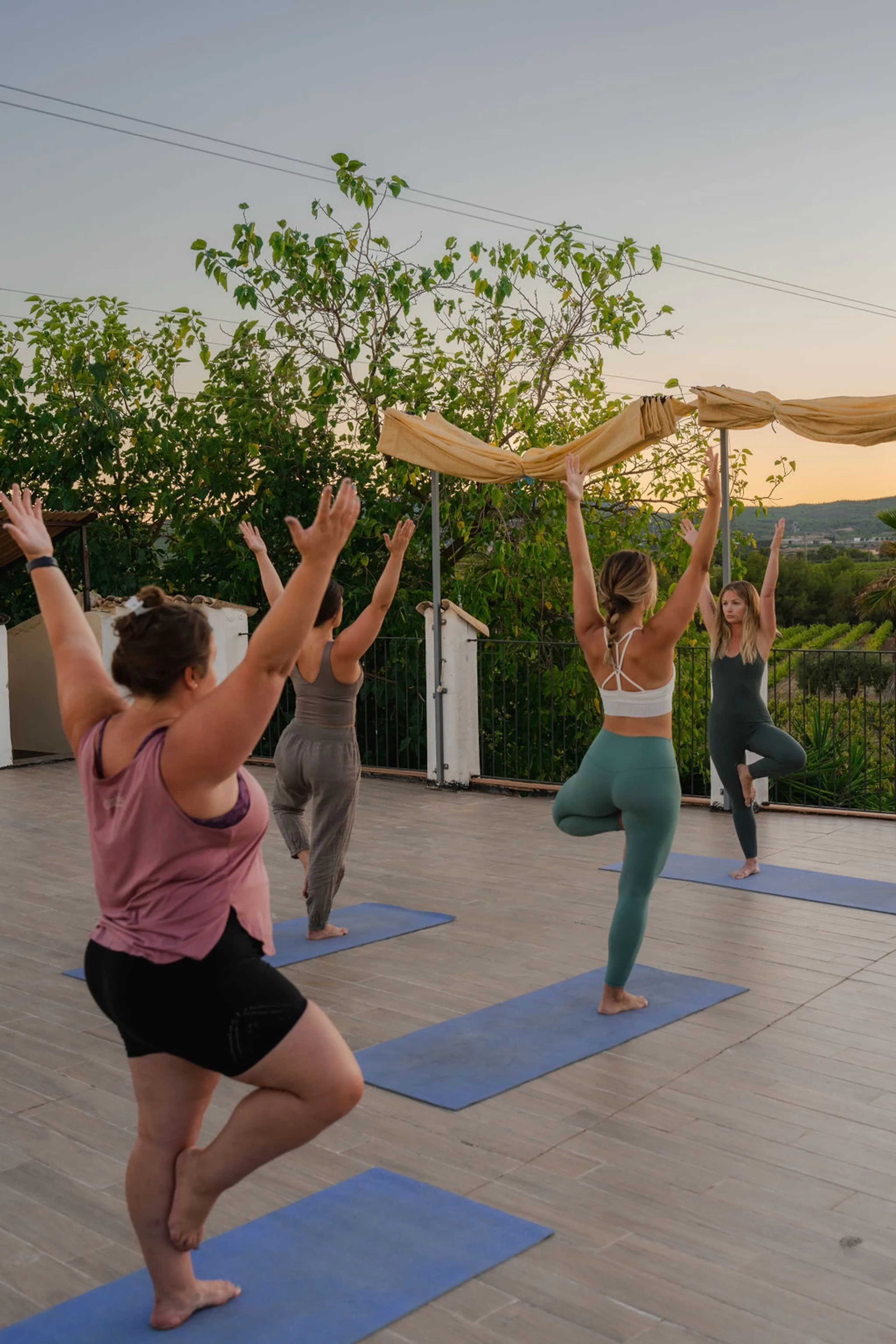 Yoga- und Heilungsretreat inmitten malerischer Weinberge