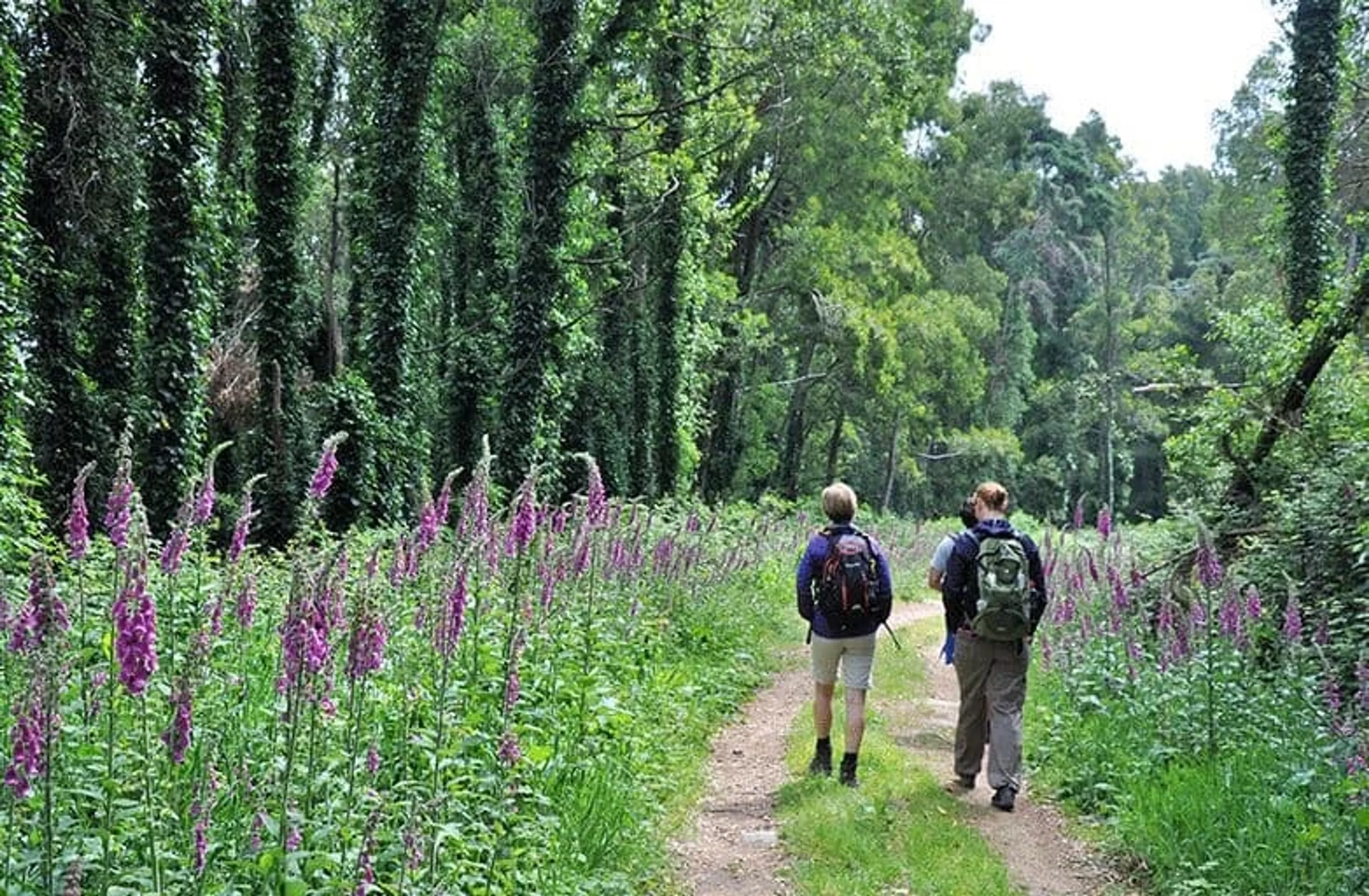 Wandern und Yoga in der eindrucksvollen Natur der Serra da Sintra - 1
