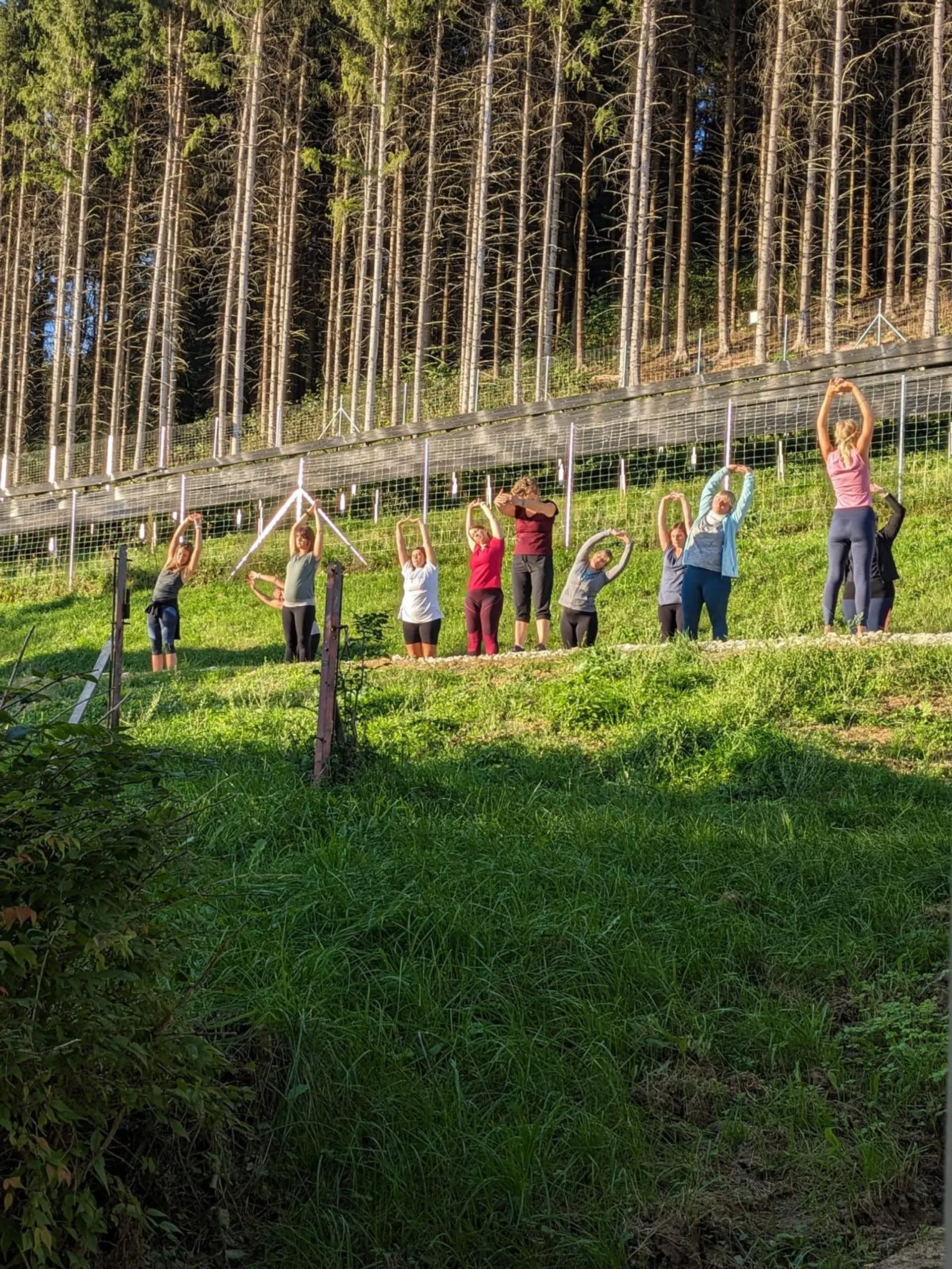 Alpenkraft Retreat - Dein Yoga-Wochenende zum Auftanken - 3